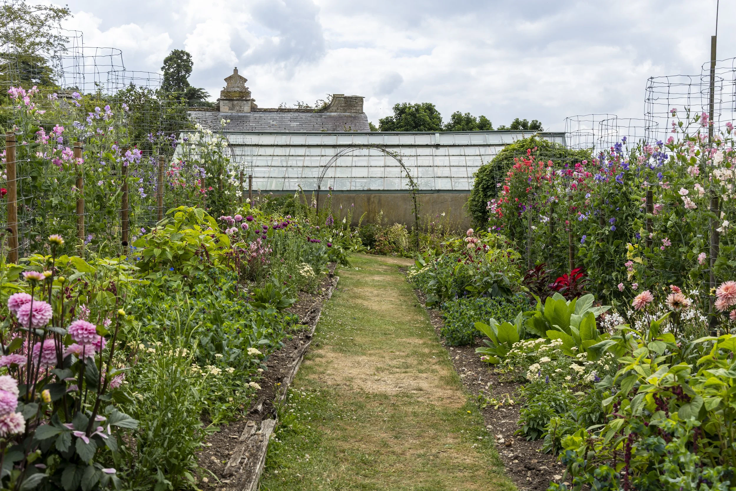 A garden with a dirt pathway, surrounded by colorful flowers, with a greenhouse and sky in the background.