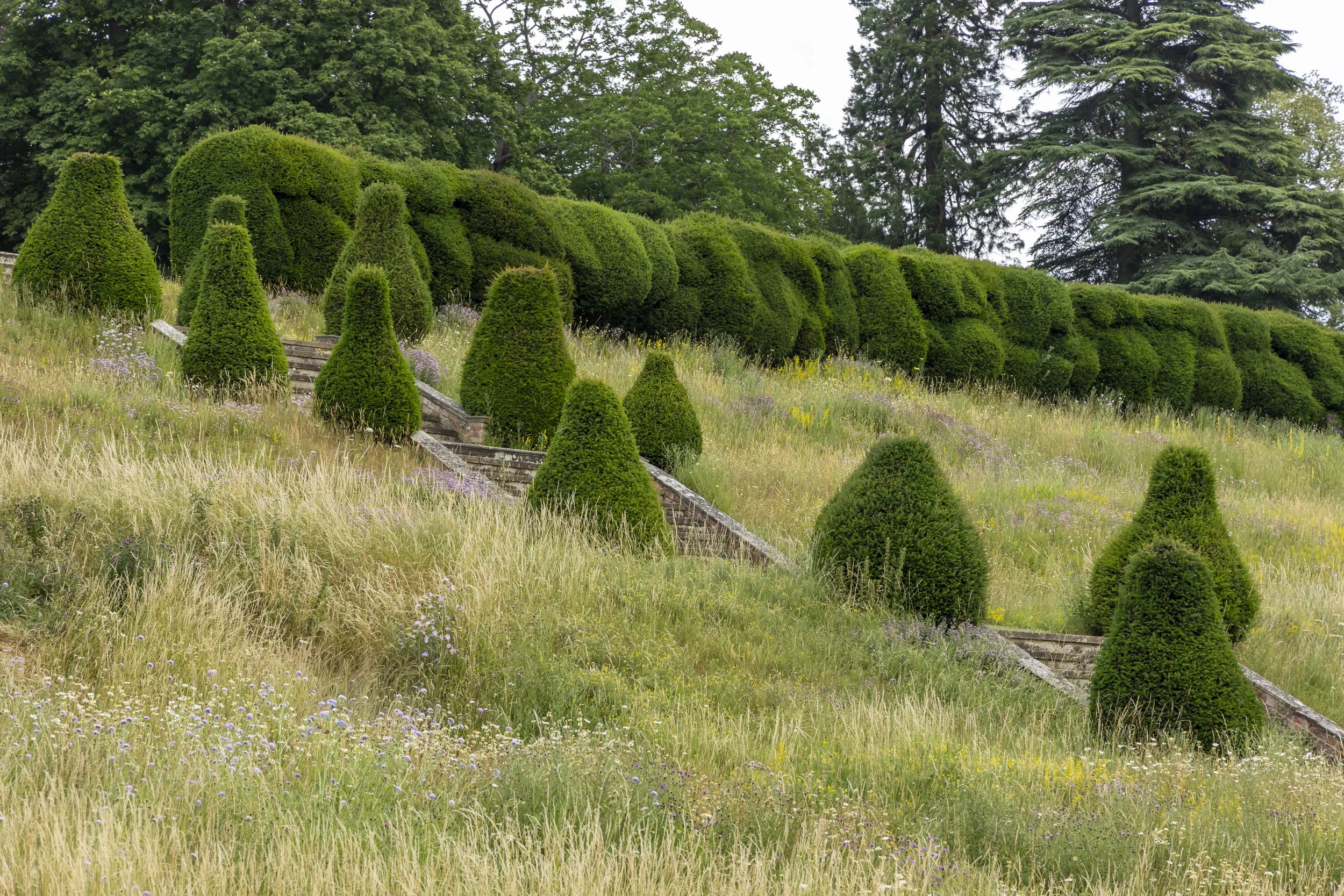 Green manicured bushes and trees on a hillside with steps and wildflowers in the foreground.
