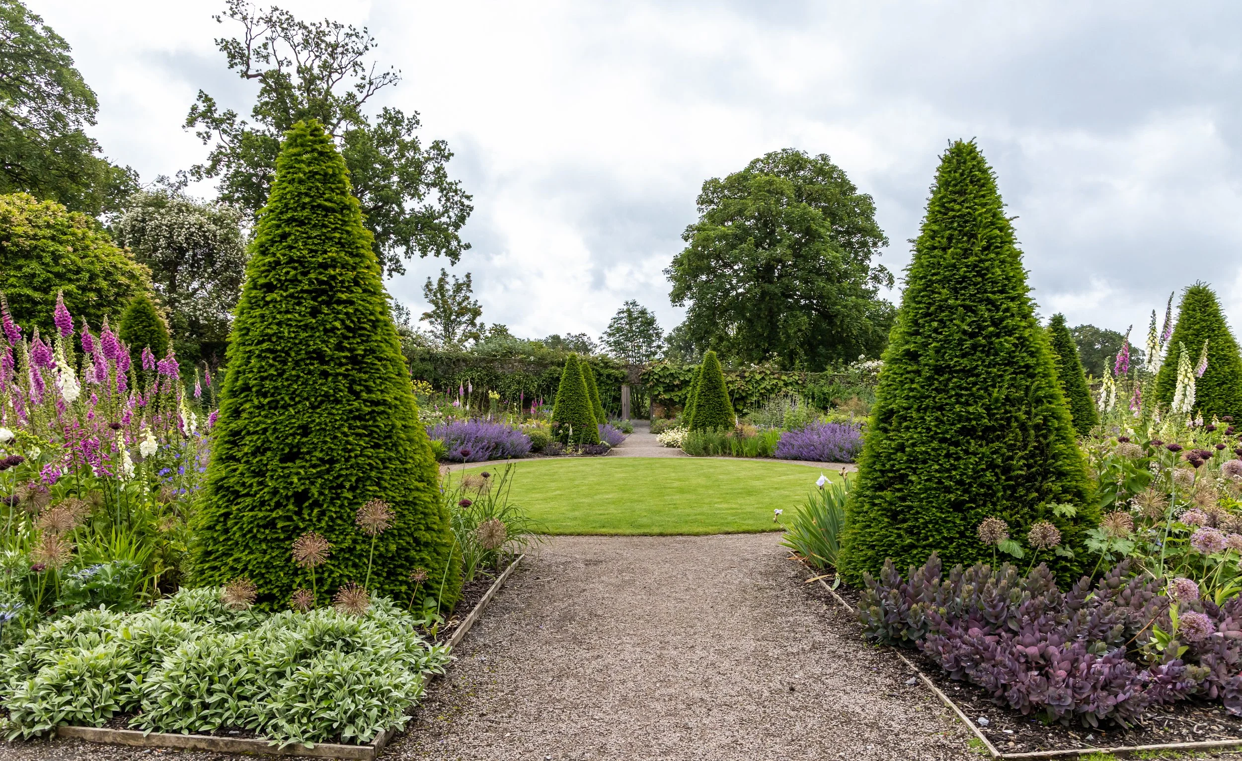 A well-maintained garden with a gravel pathway leading through flowerbeds containing purple, white, and green plants. Tall, conical evergreen trees line the path, and large leafy trees are visible in the background under a cloudy sky.