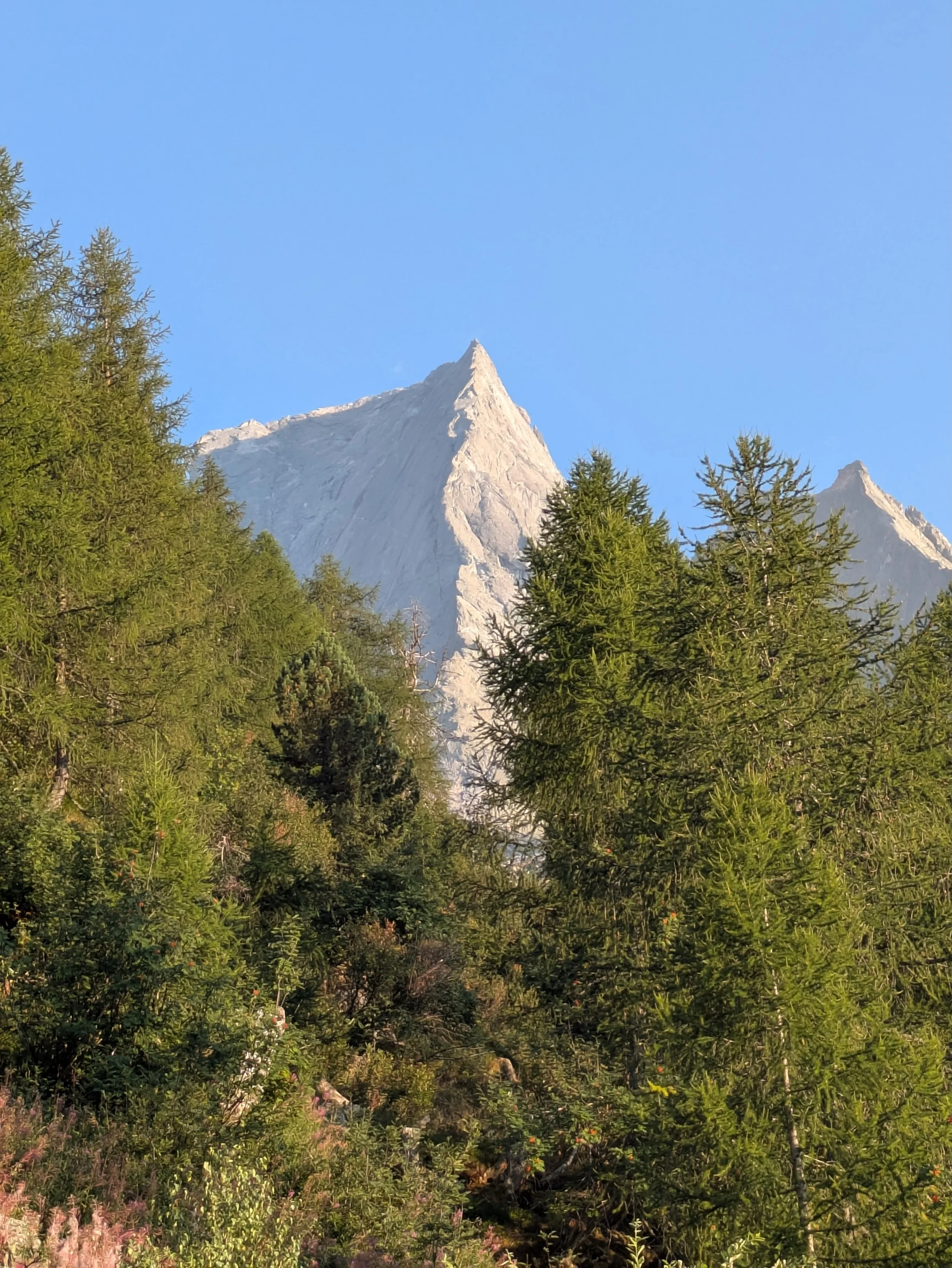 Great week with Alys, Gary and @claphamski ticking off Dent Du Geant, Entreves traverse and the North Ridge of Piz Badille. Thanks James for the work!