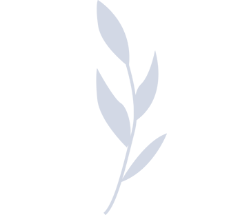 symbol leaf logo icon