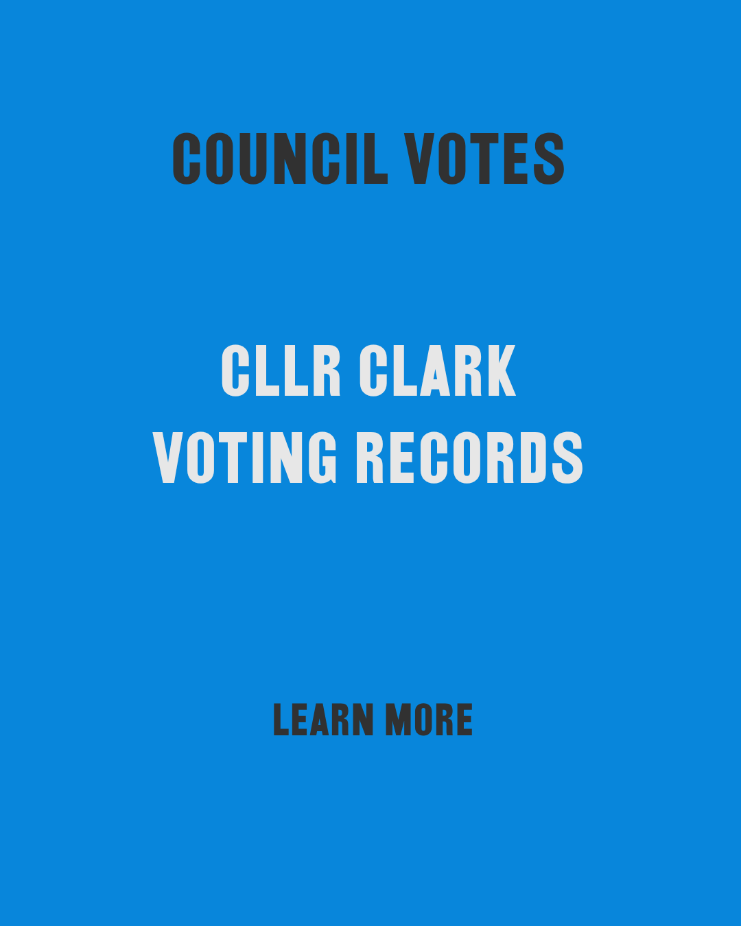 Councillor Clark Voting Record