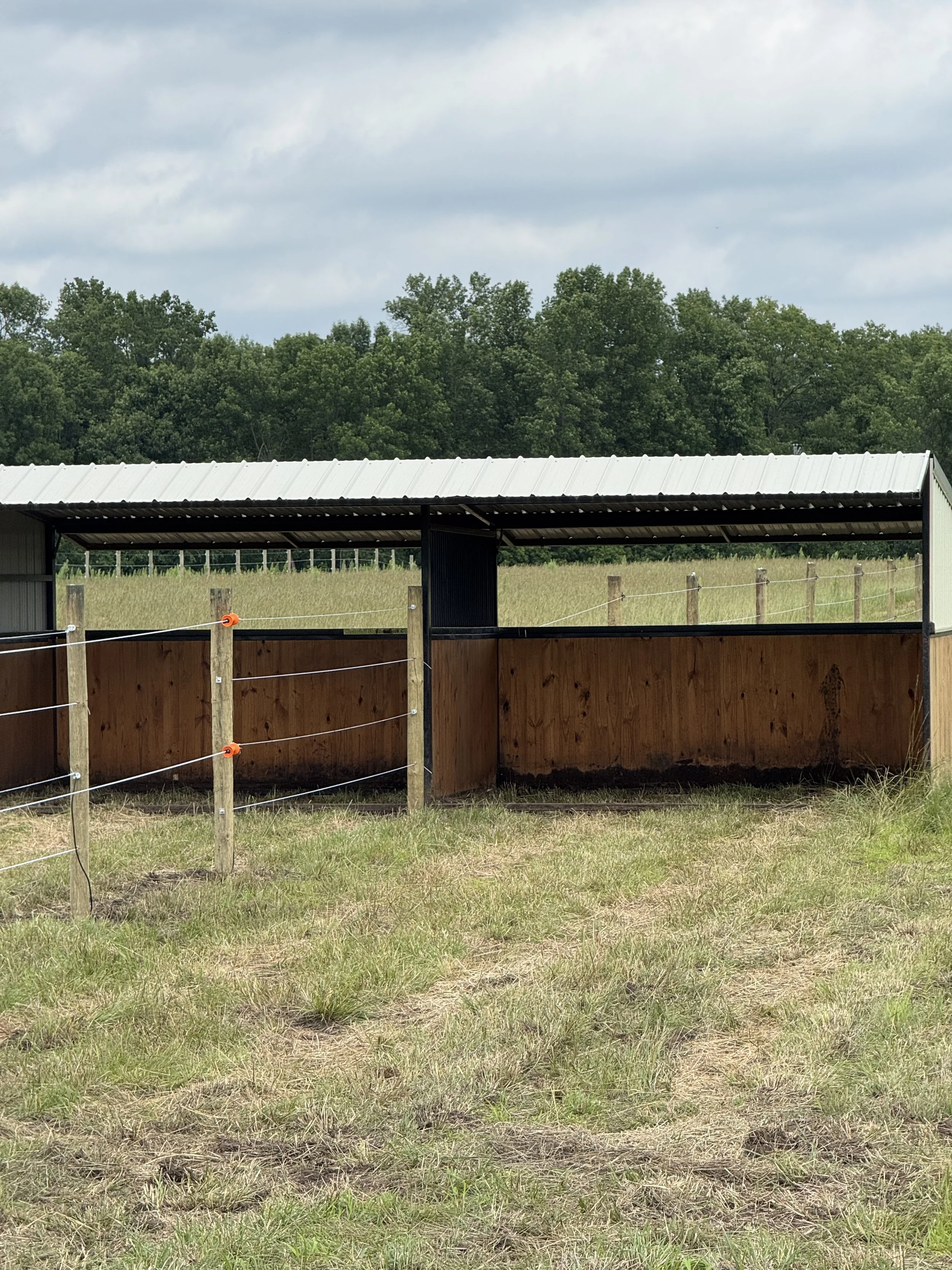 Shelter with divider on a fence line.