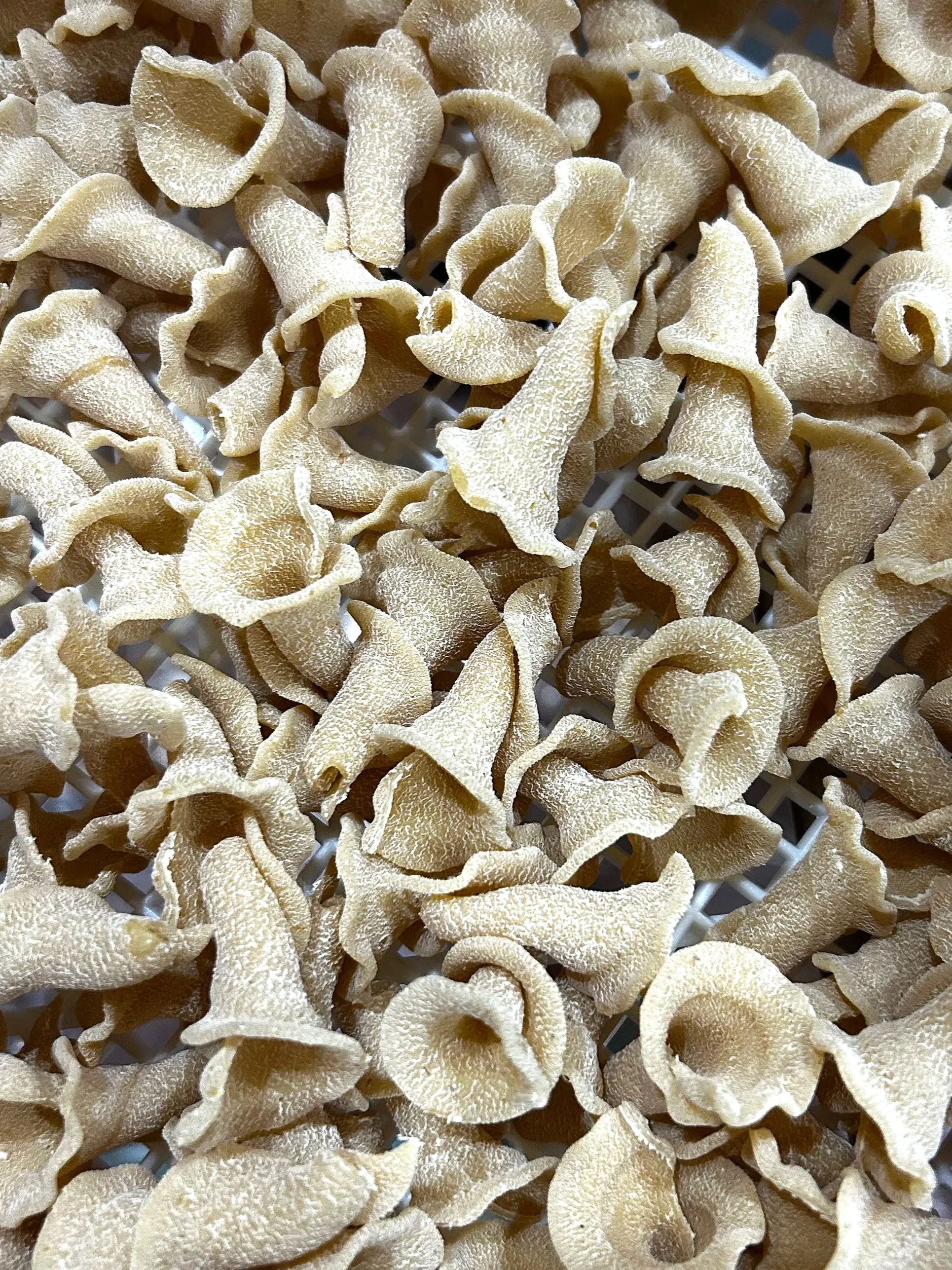Campanelle