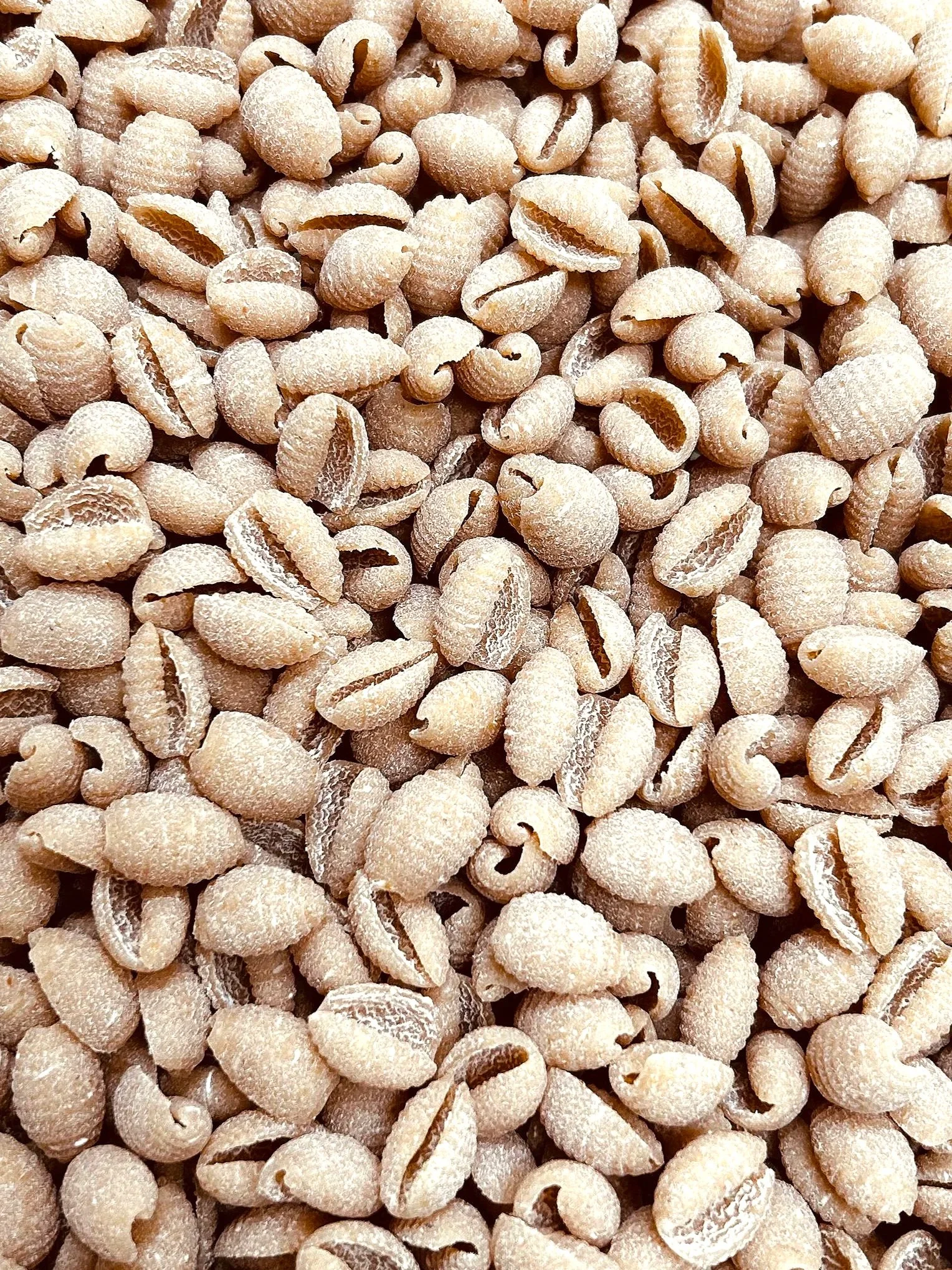 Gnocchetti Sardi