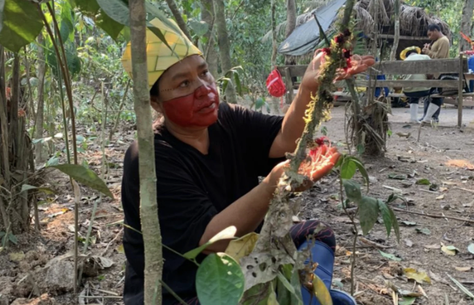 A Yawanawa woman with red face paint, wearing a yellow and green headscarf, sits in a forested area making a floral arrangement.