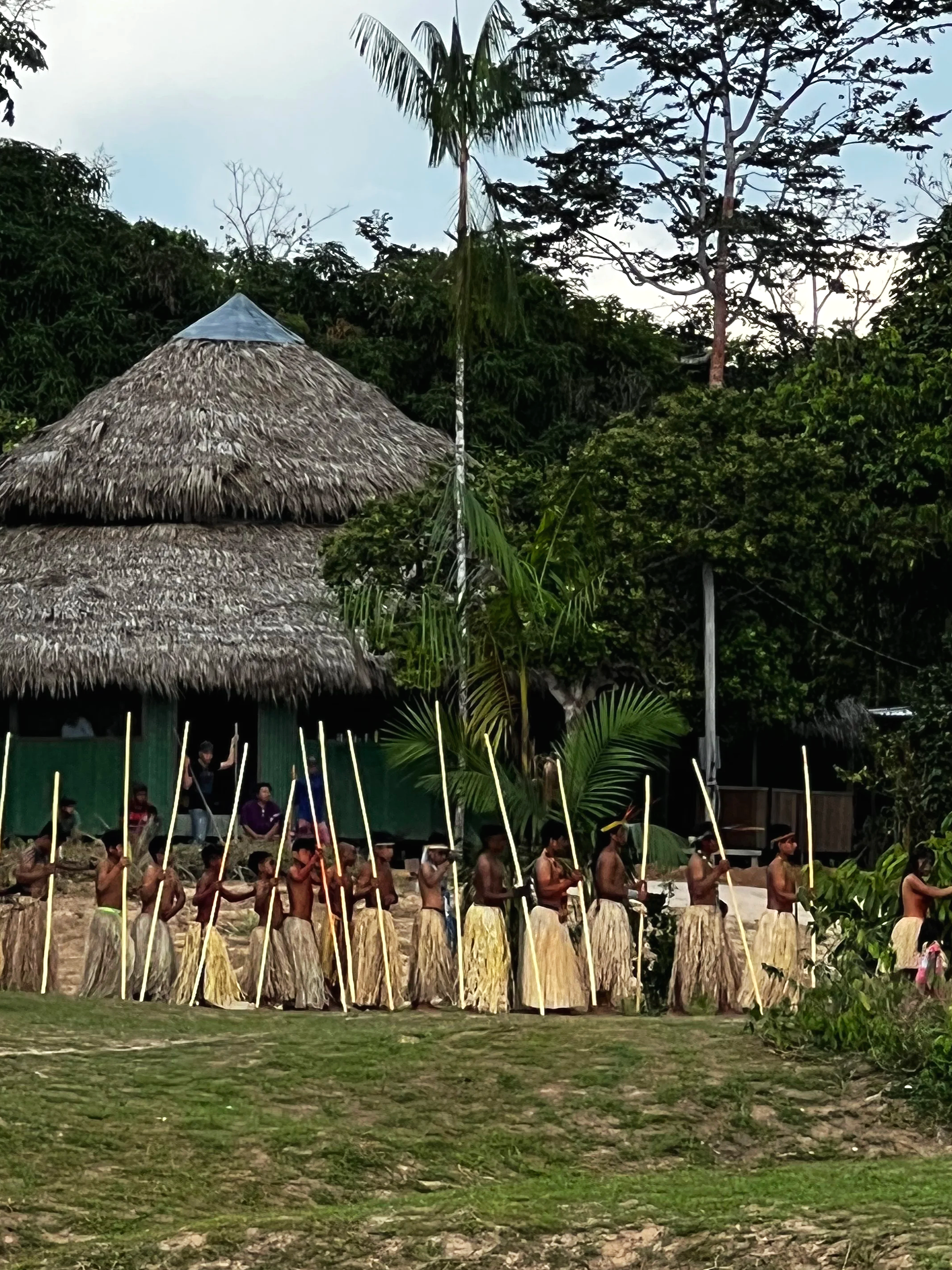 Indigenous people in traditional attire participate in a ceremonial dance around a fire, holding sticks and drums, in a lush outdoor setting with tall trees and a thatched roof hut in the background.