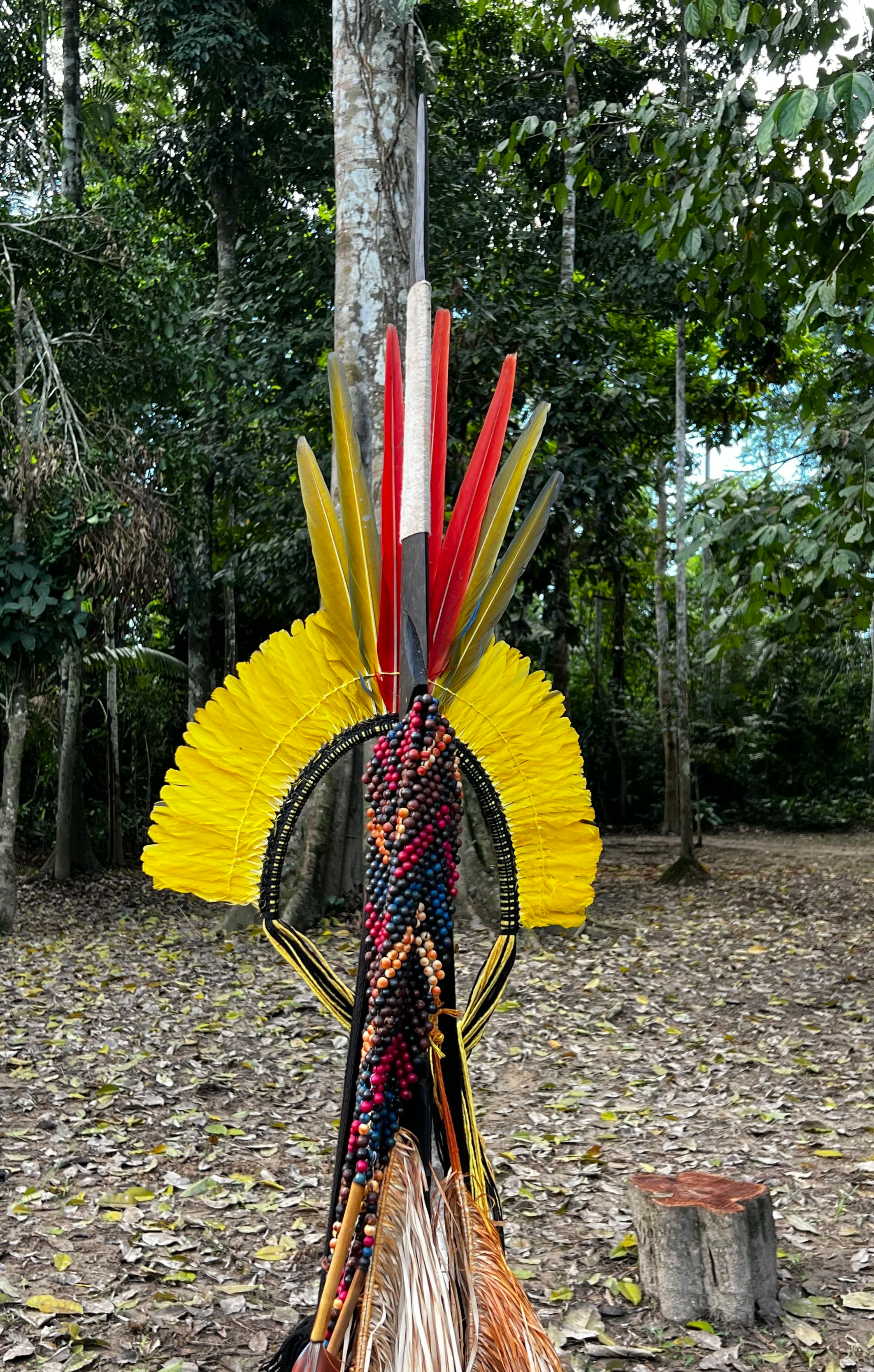 A traditional Yawanawá ceremonial headdress with colorful feathers, beads, and decorative elements standing outdoors among trees and fallen leaves.