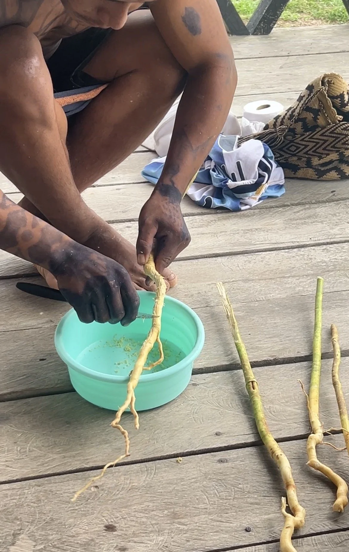 A Yawanawa man with tattoos is sitting on a wooden deck, peeling or preparing ginseng roots over a small green bucket filled with water, with more ginseng roots lying nearby. 