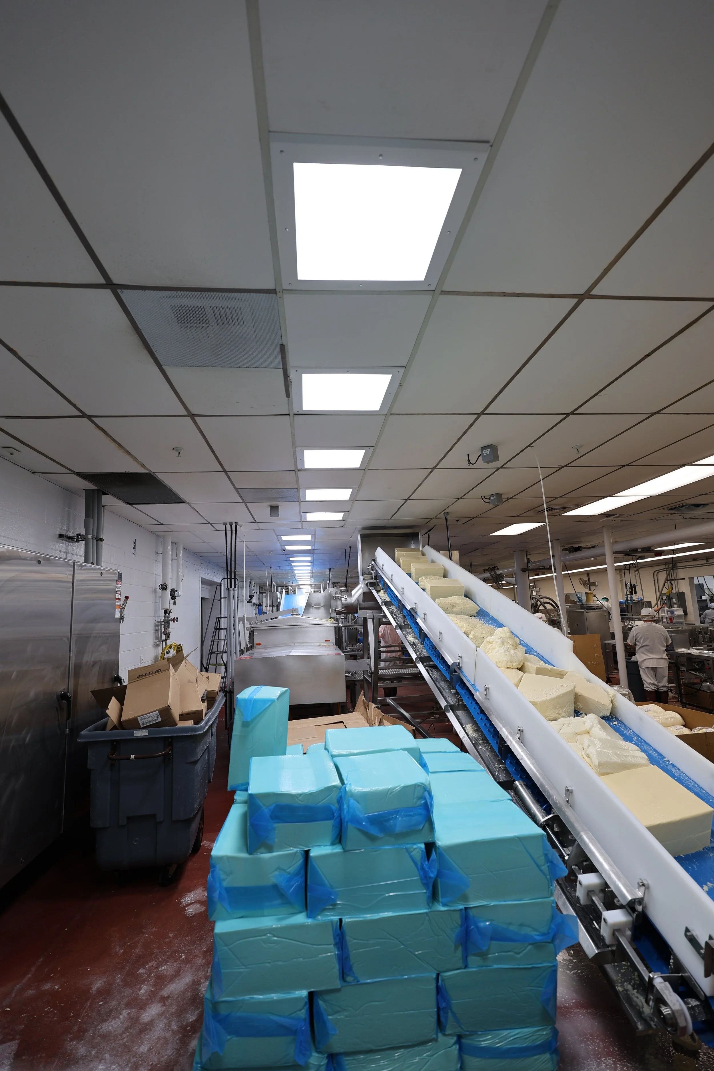 Washdown Drop Ceiling Lighting.JPG