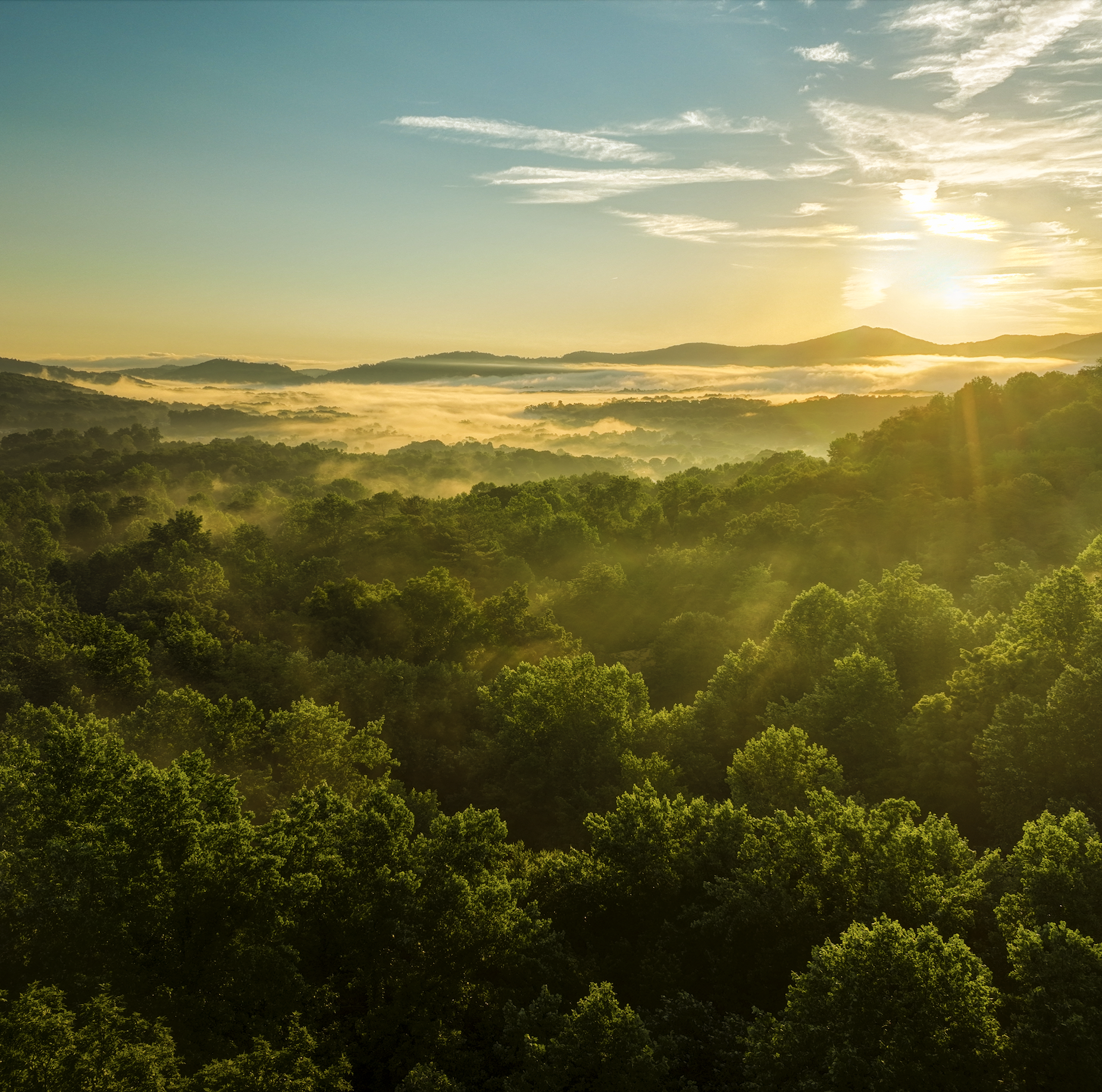 Good Morning, Smokys Box Thumbnail.png