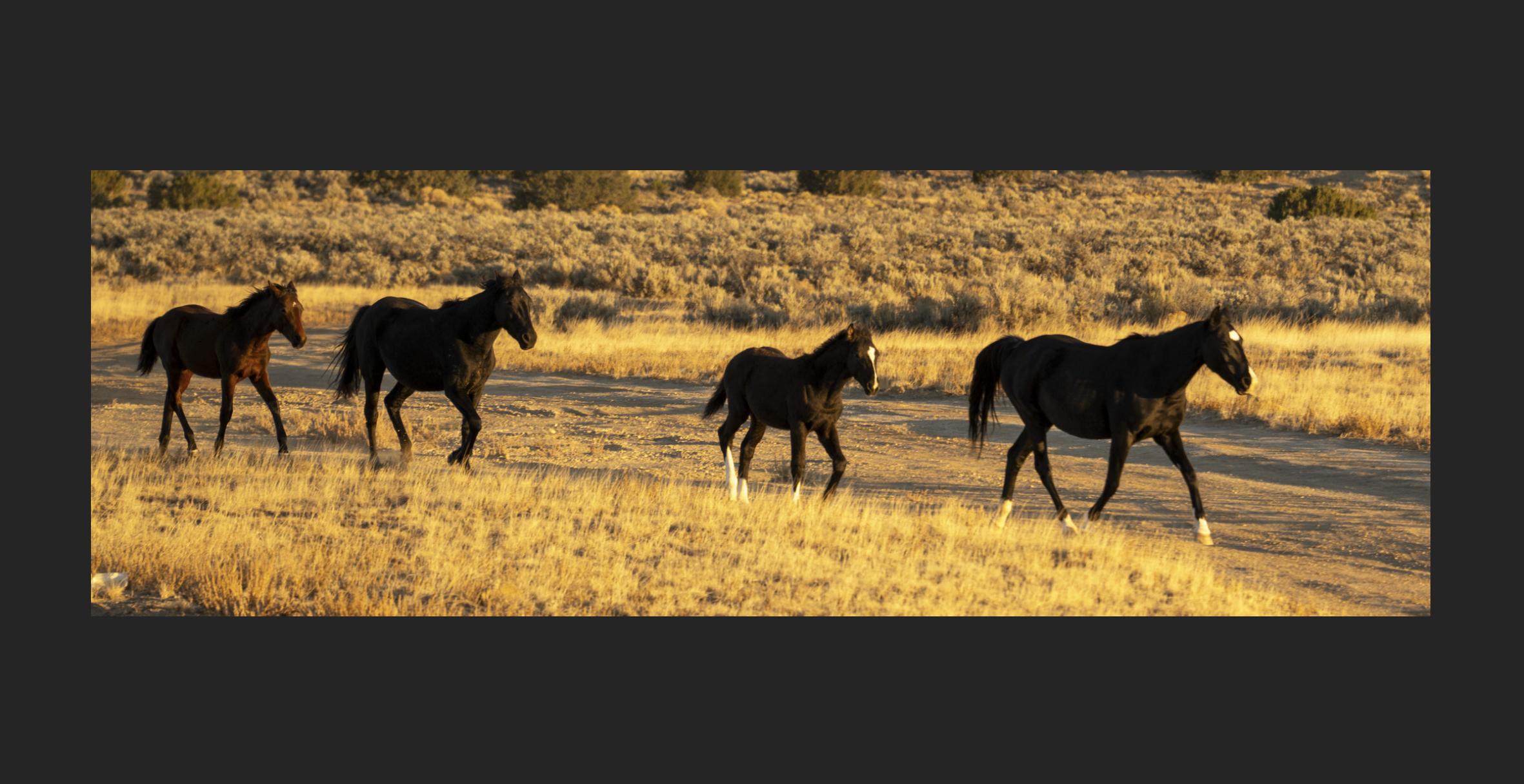 Screenshot 2026-01-09 at 8.34.17 AM.png