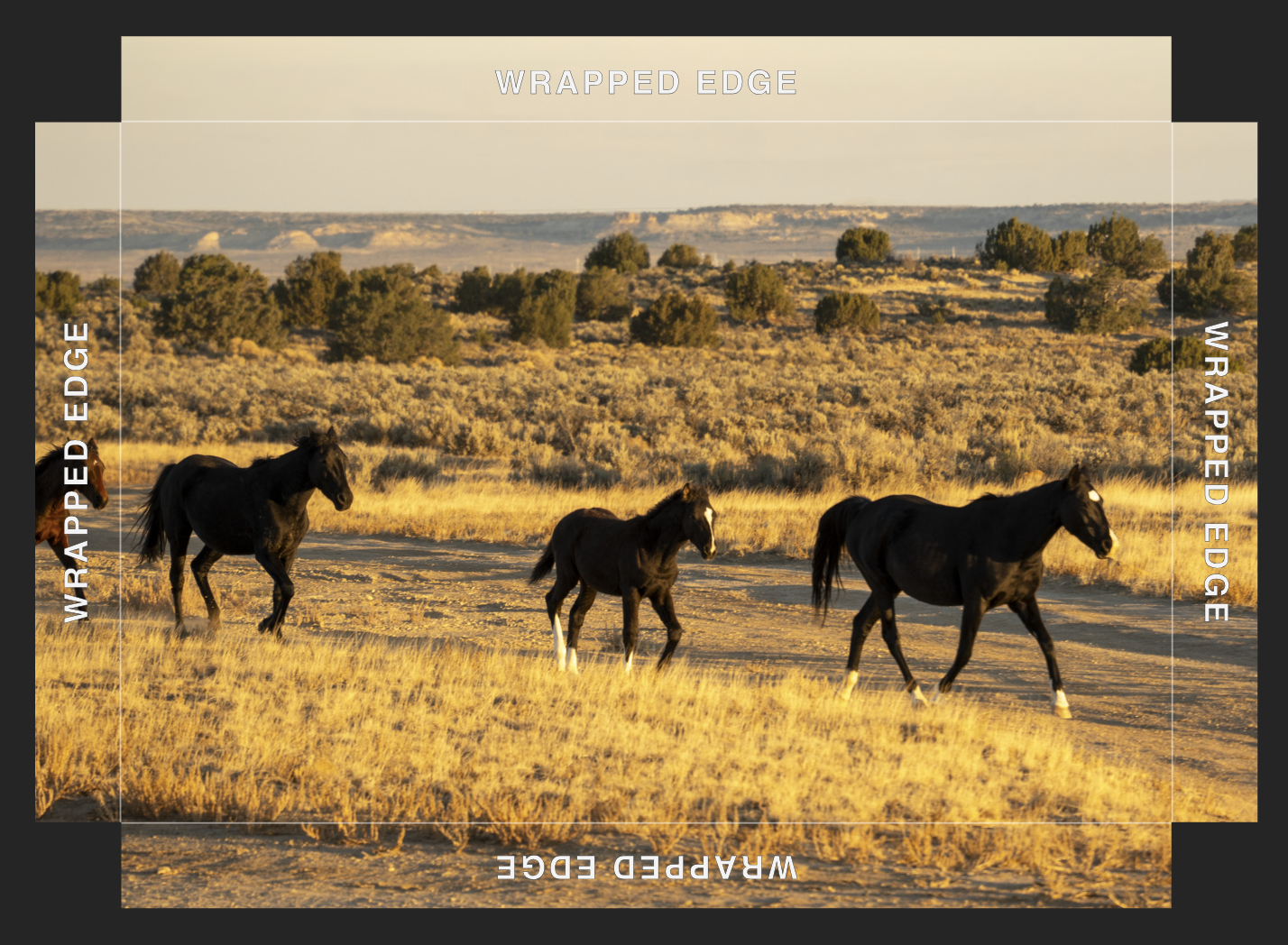 Screenshot 2026-01-09 at 7.03.17 AM.png