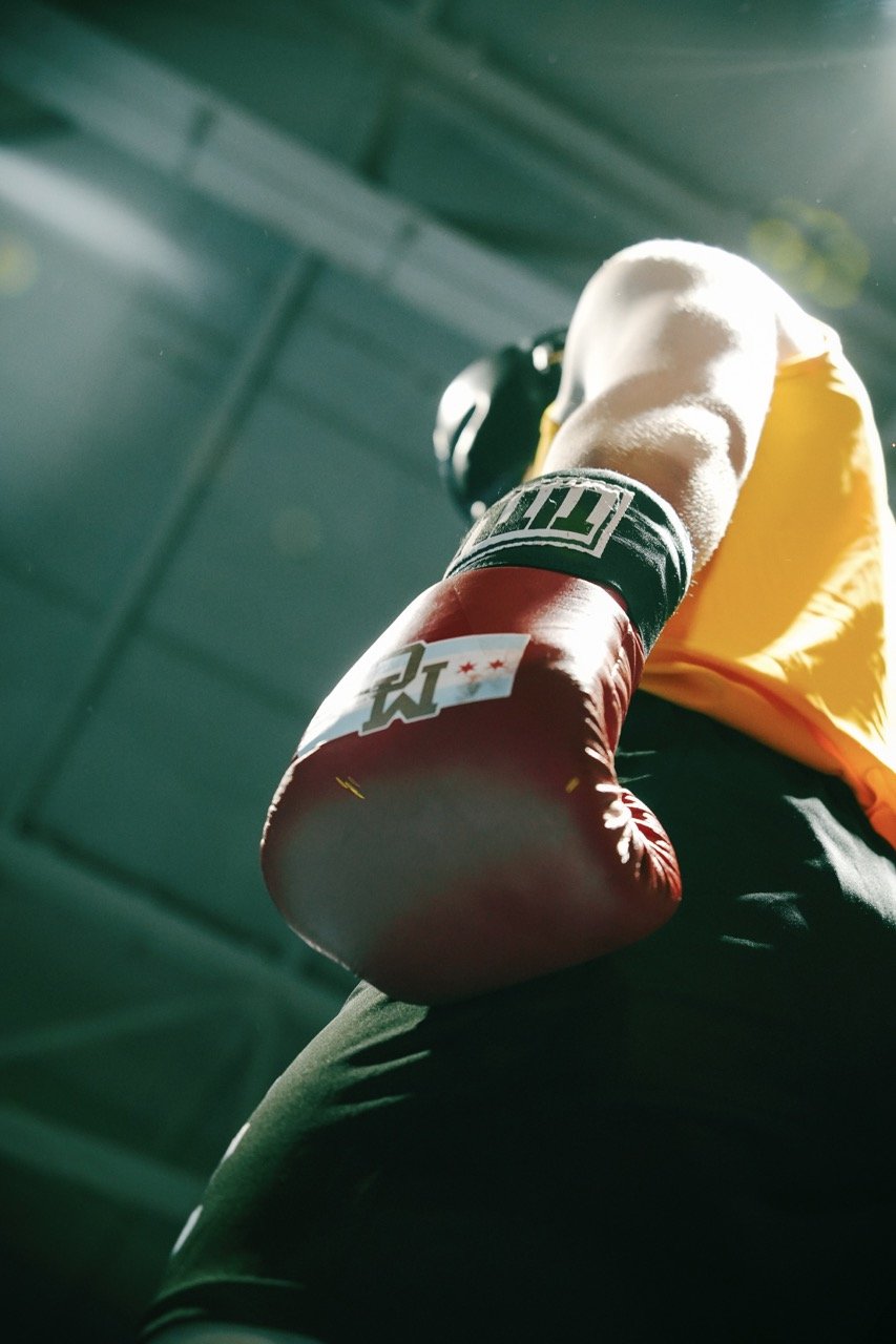 The Boxer_D1 Large.jpeg