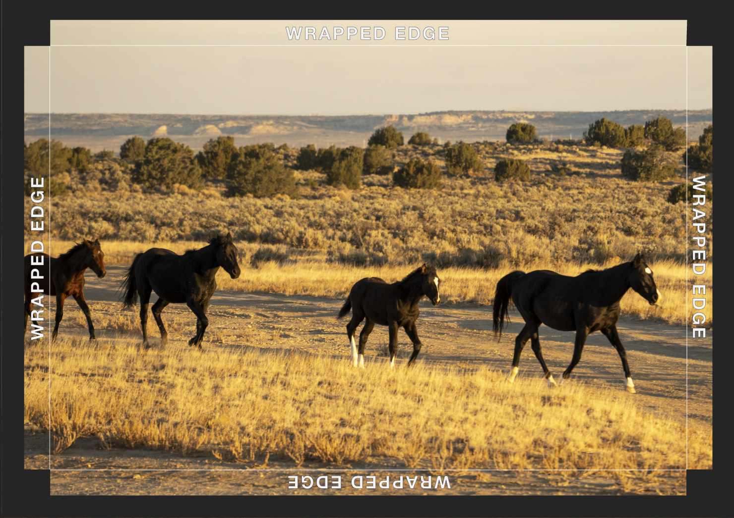 Screenshot 2026-01-09 at 7.03.36 AM.png