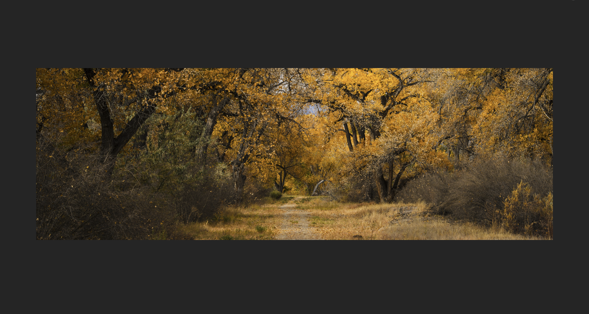 Screenshot 2026-01-09 at 8.35.33 AM.png