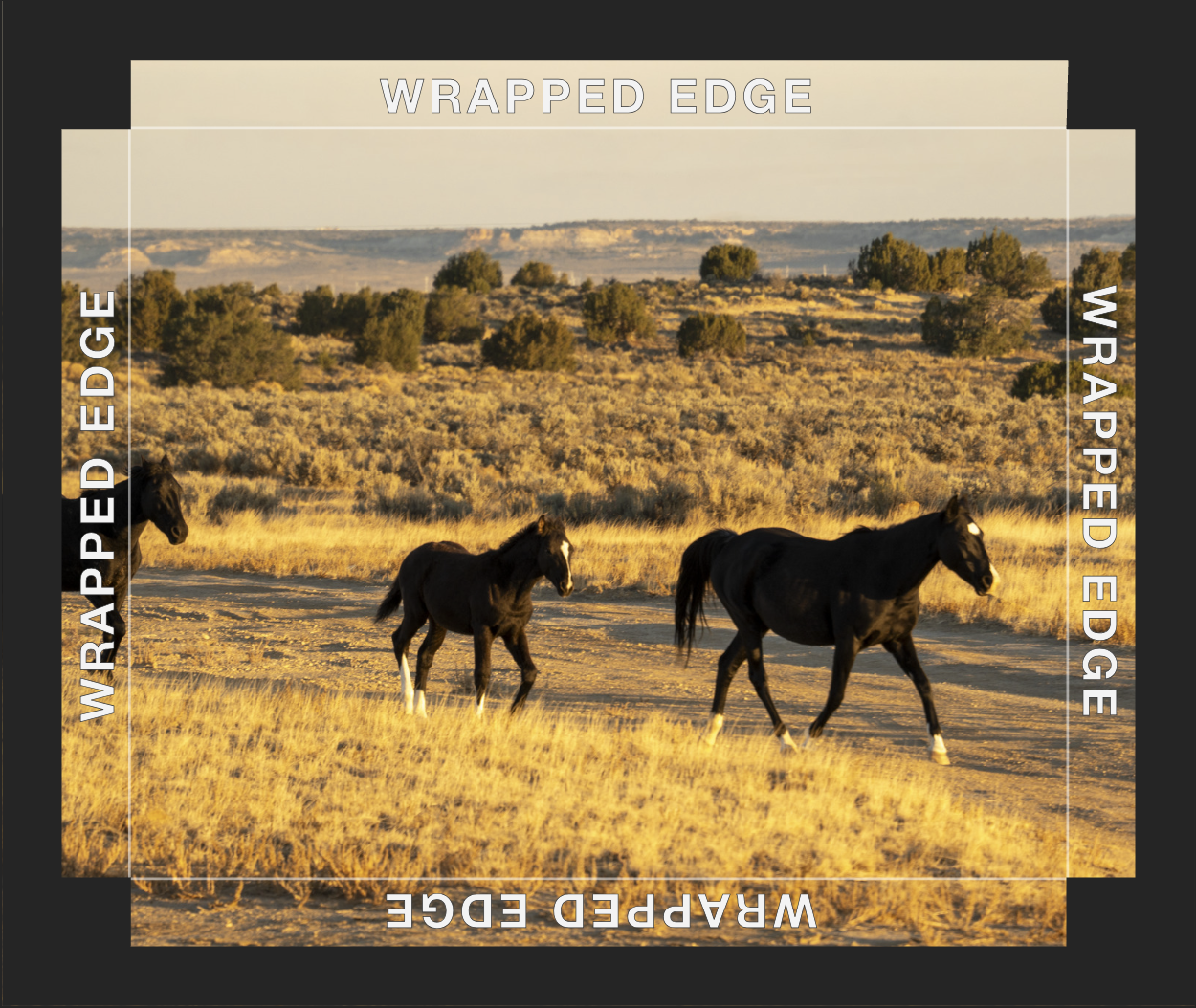 Screenshot 2026-01-09 at 7.06.06 AM.png