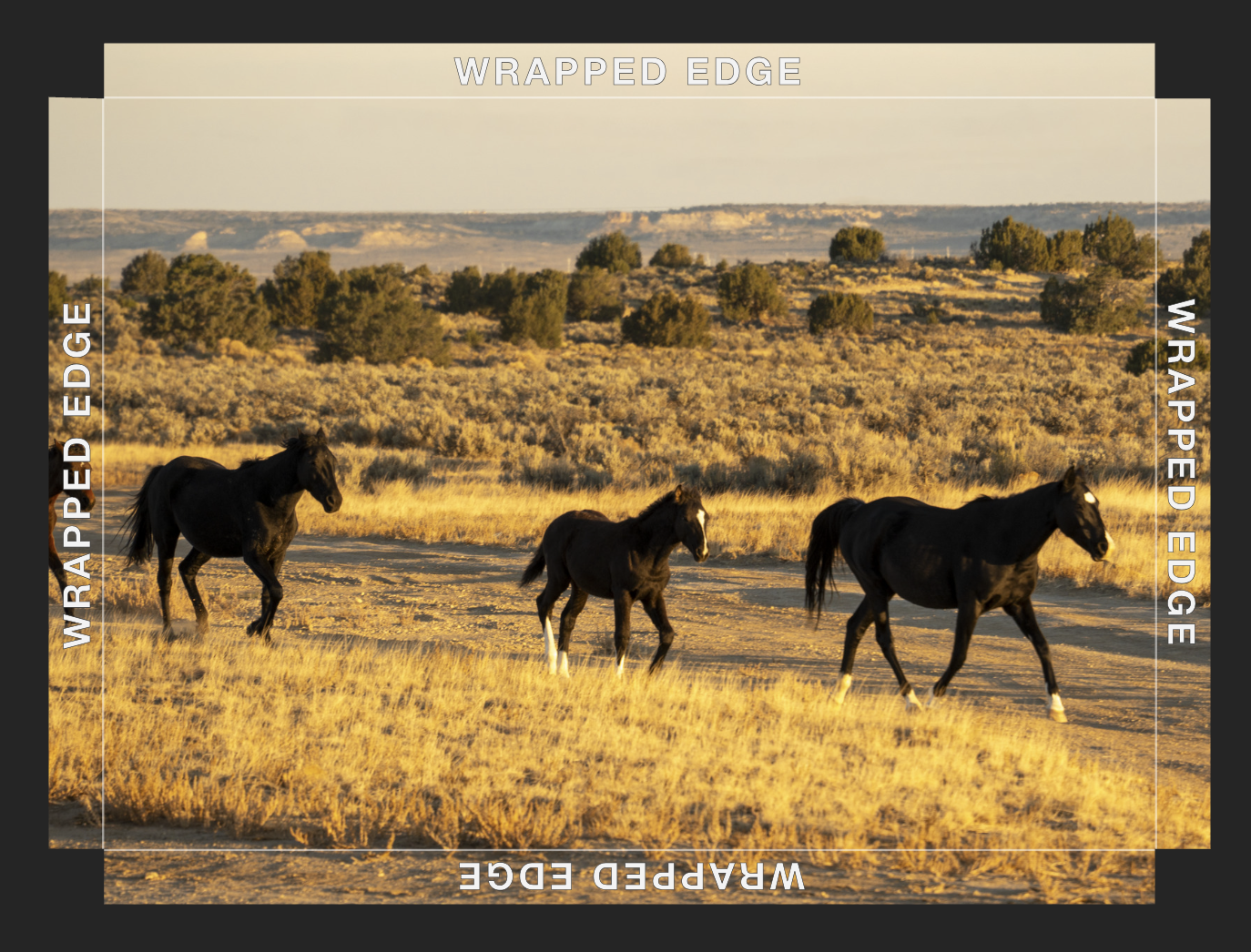 Screenshot 2026-01-09 at 7.10.15 AM.png