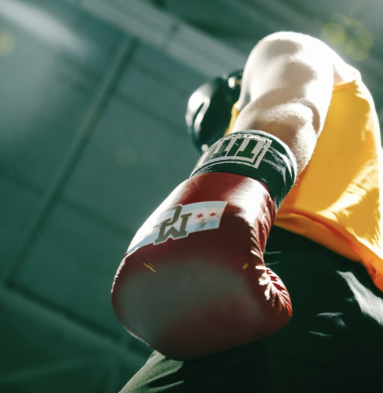 The Boxer Square Thumbnail.png