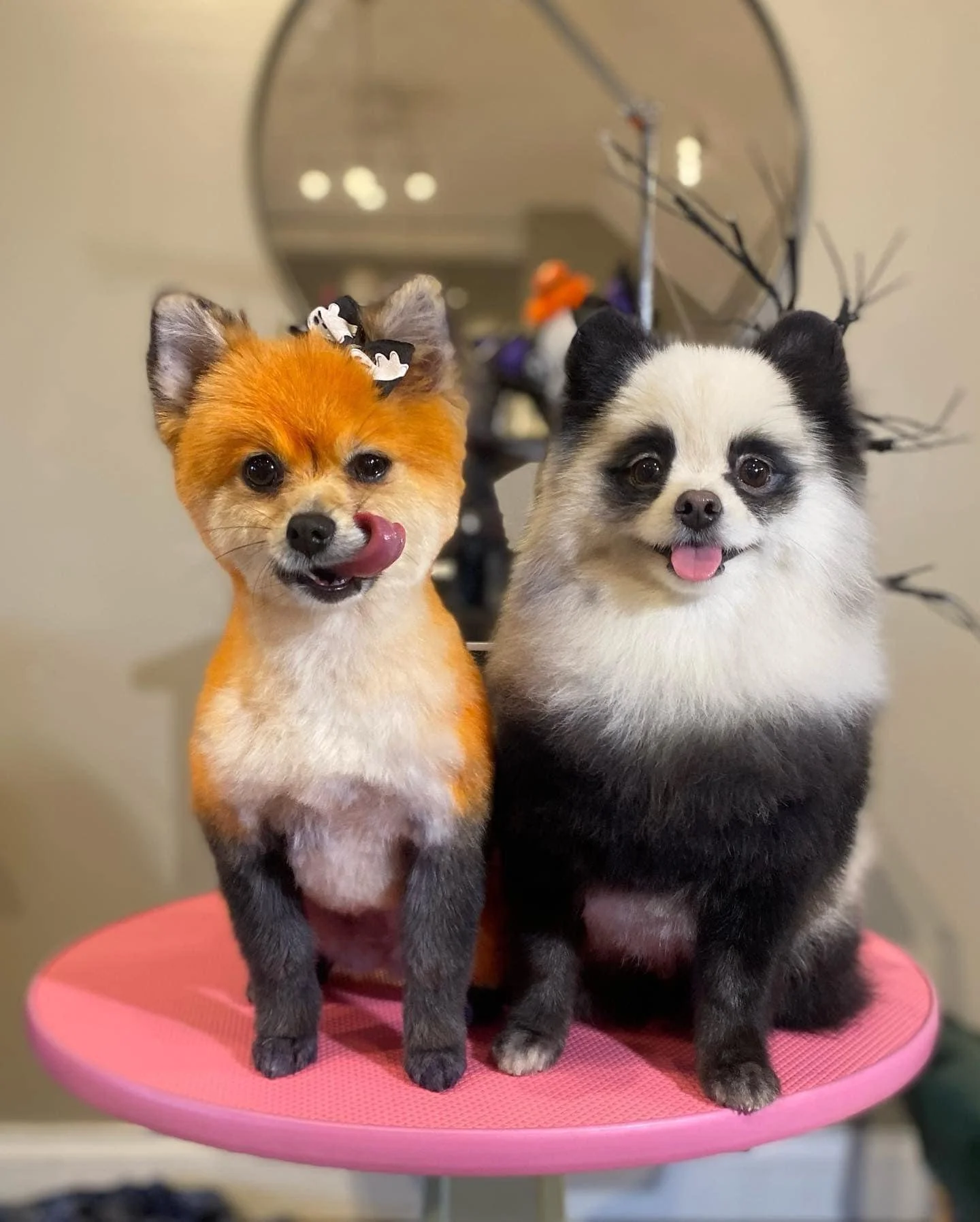 Penny and Teddy.jpg