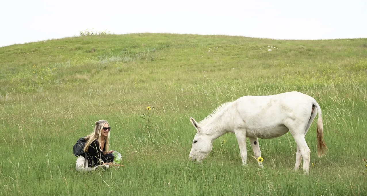 Kirsten sitting on a hill with tall grass watching a white donkey peacefully eating the grass facing her just a foot or two away
