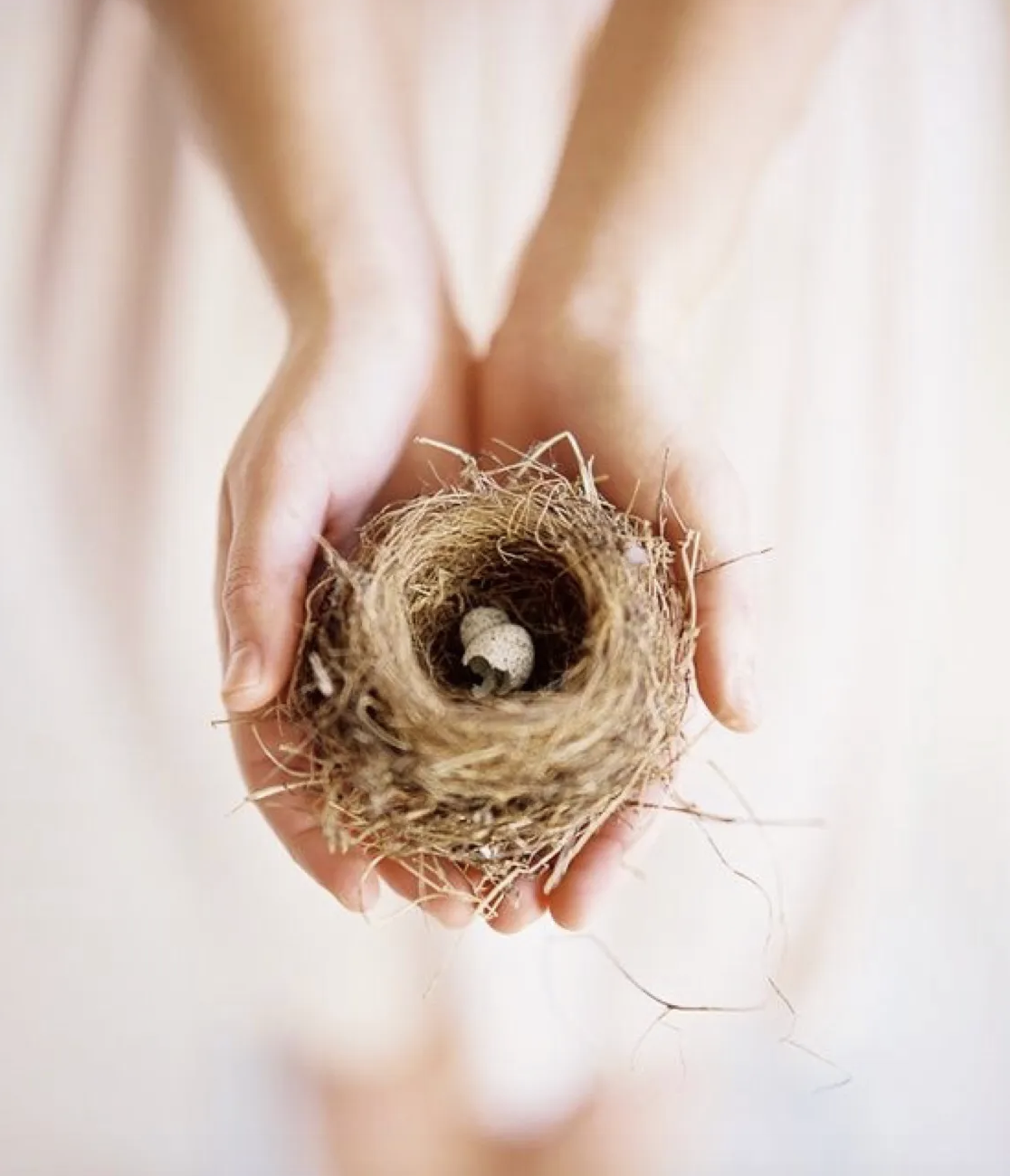 A small bird's nest sitting in a woman's hands empty besides an egg cracked open, signifying the baby bird left the nest