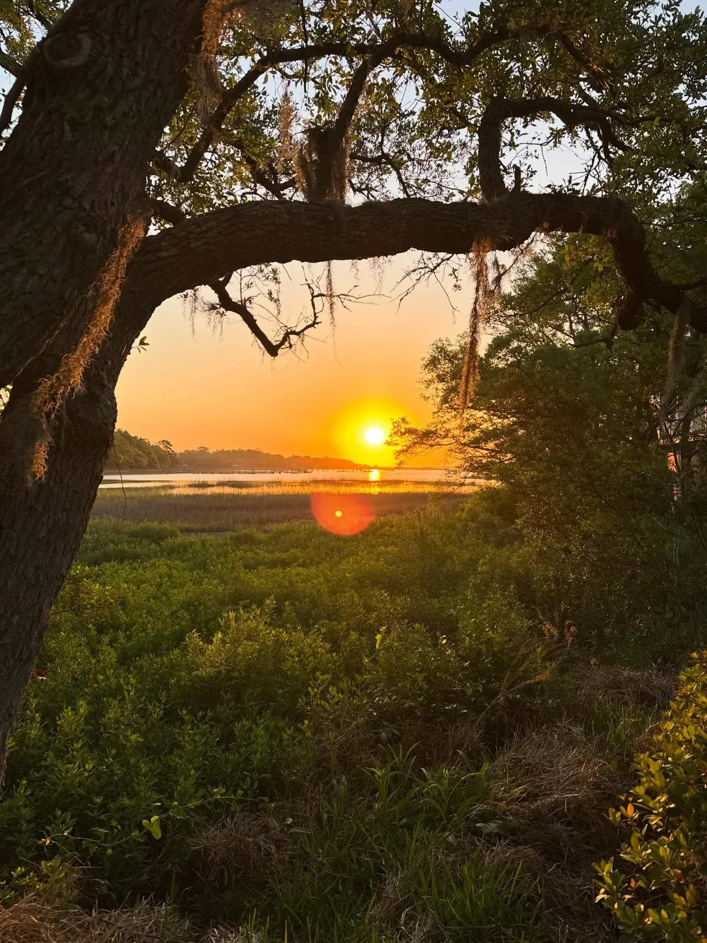 Pause&hellip;pause the music, the TV, the scrolling. Allow your mind&rsquo;s thoughts to flow in, and then slowly move them through - one by one. Nothing is urgent in this moment. Begin to check in with your body; this is where your truth lies. 

Wha