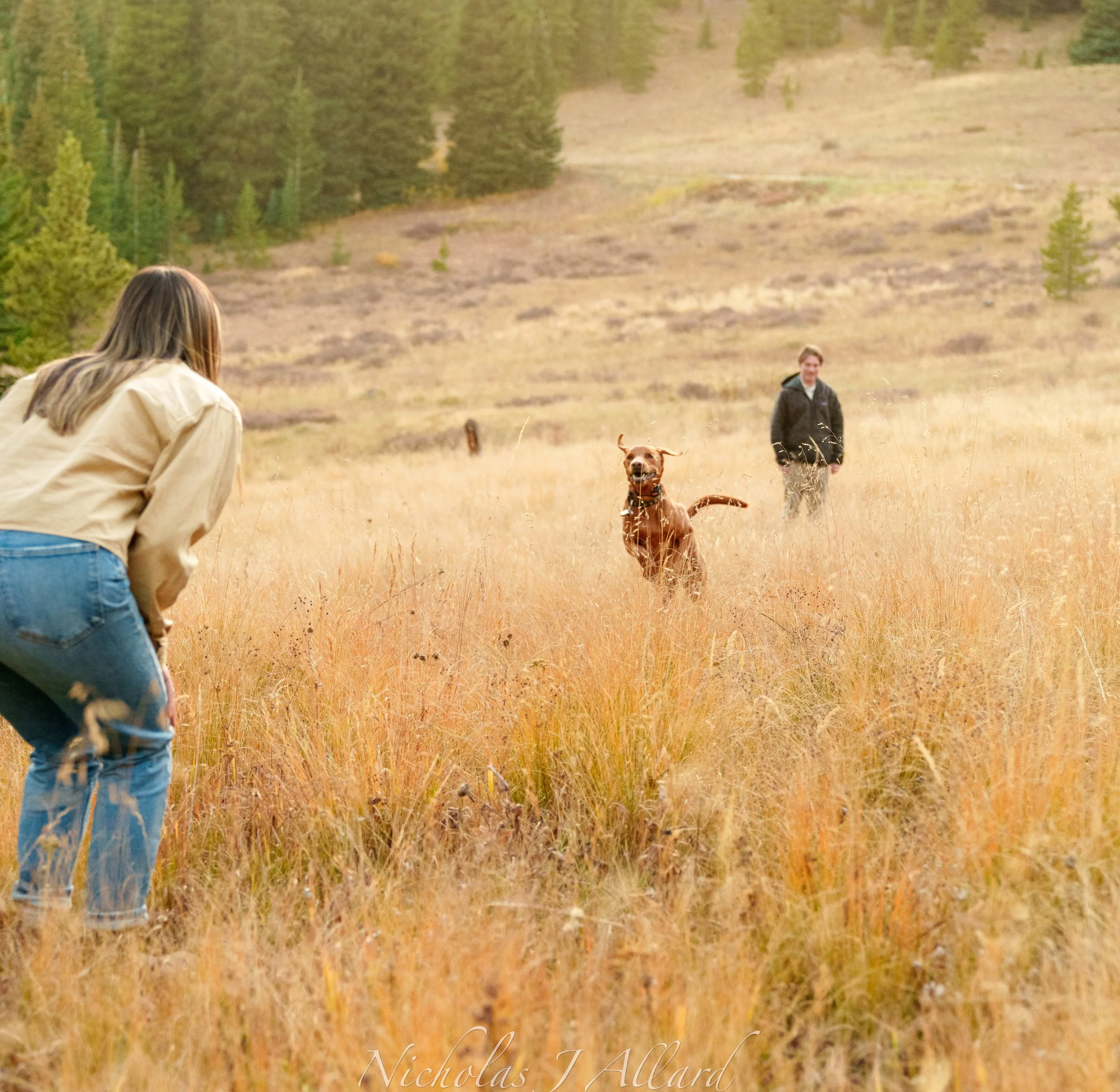 Two people and a dog in a grassy field with trees in the background, one person is crouching as the dog runs toward them.