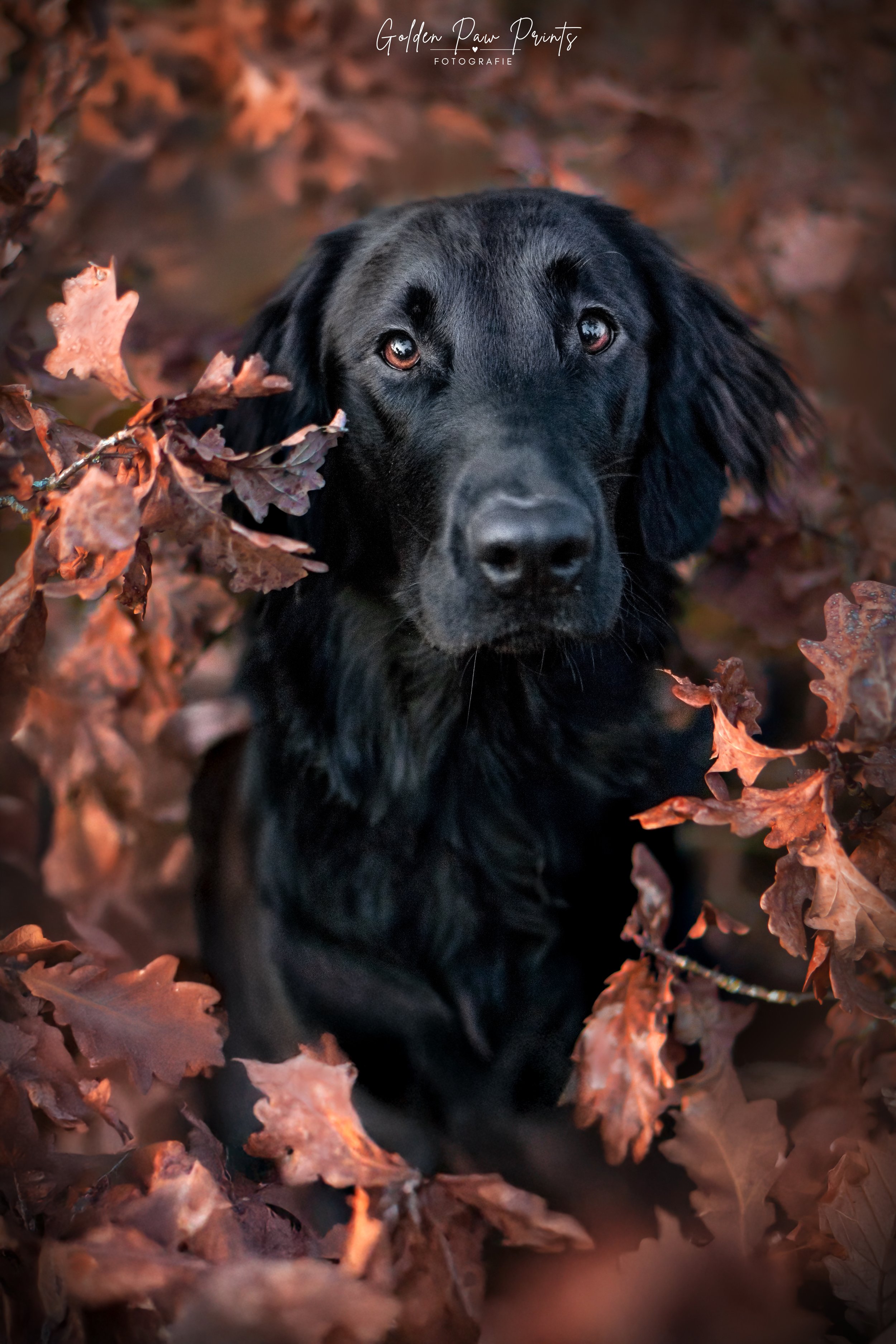 DSC07150-Edit WZ.jpg