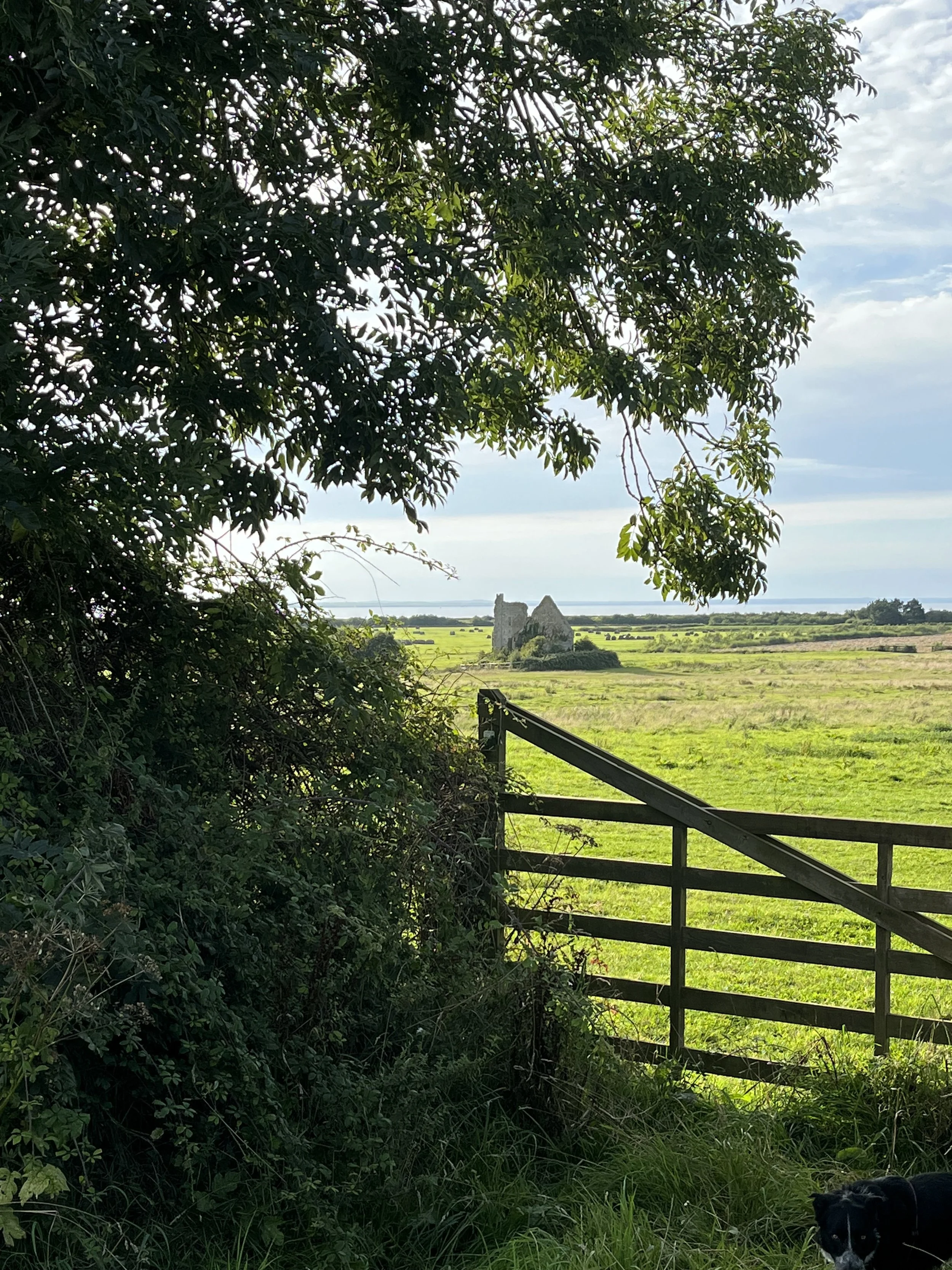 IMG_0914.jpeg