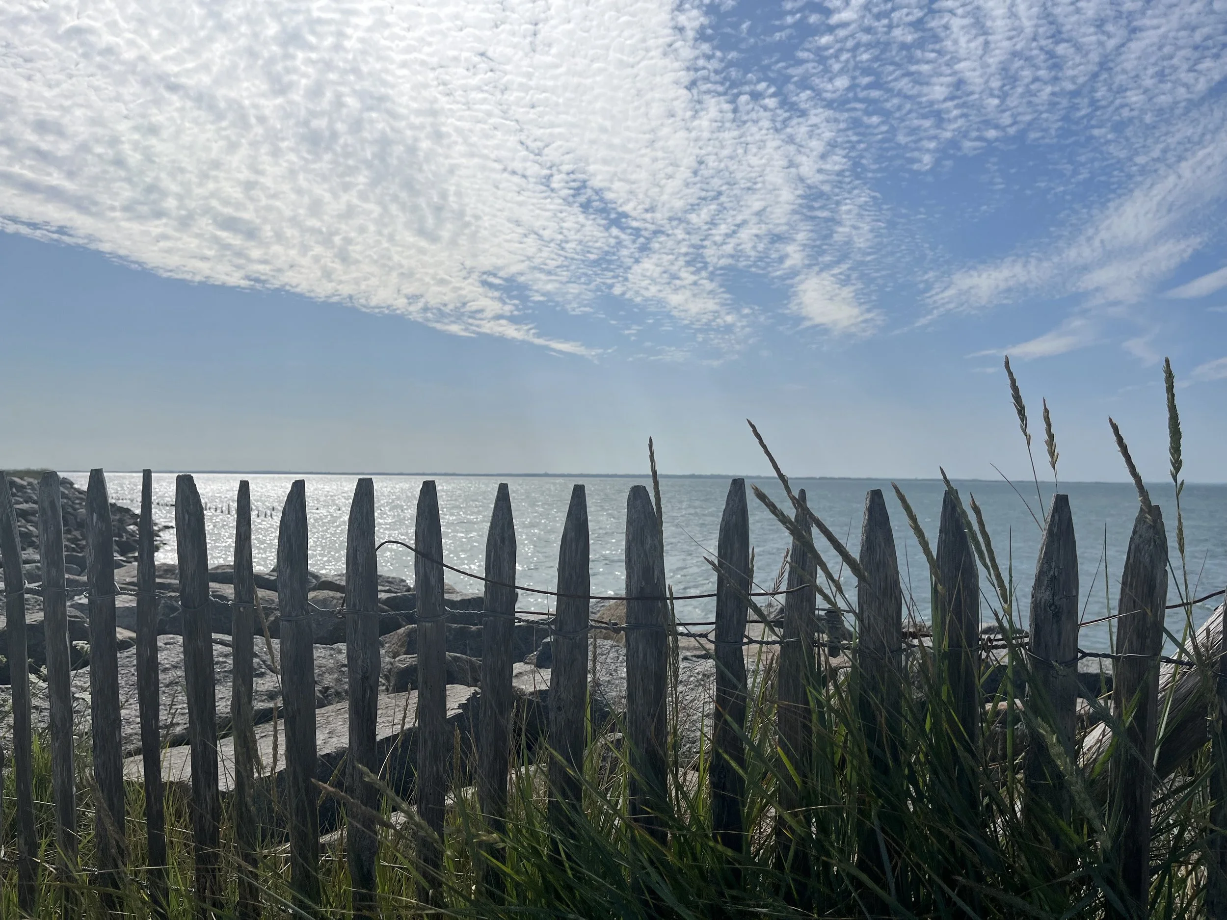 IMG_2546.jpeg