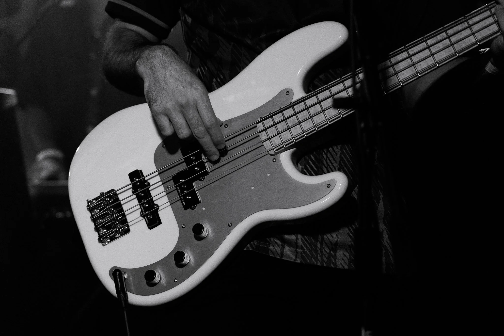 AM_Mustard-Service (47).jpg