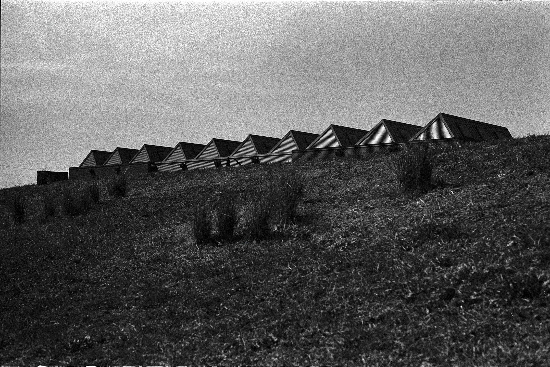 Scioto Trail on Kodak TMAX 400
.
#bbbfranklinton #wildgoosecreative #worldofphotography #tmax #kodak #kodaktmax400 #film #35mmfilm #blackandwhite #monochrome #50mm