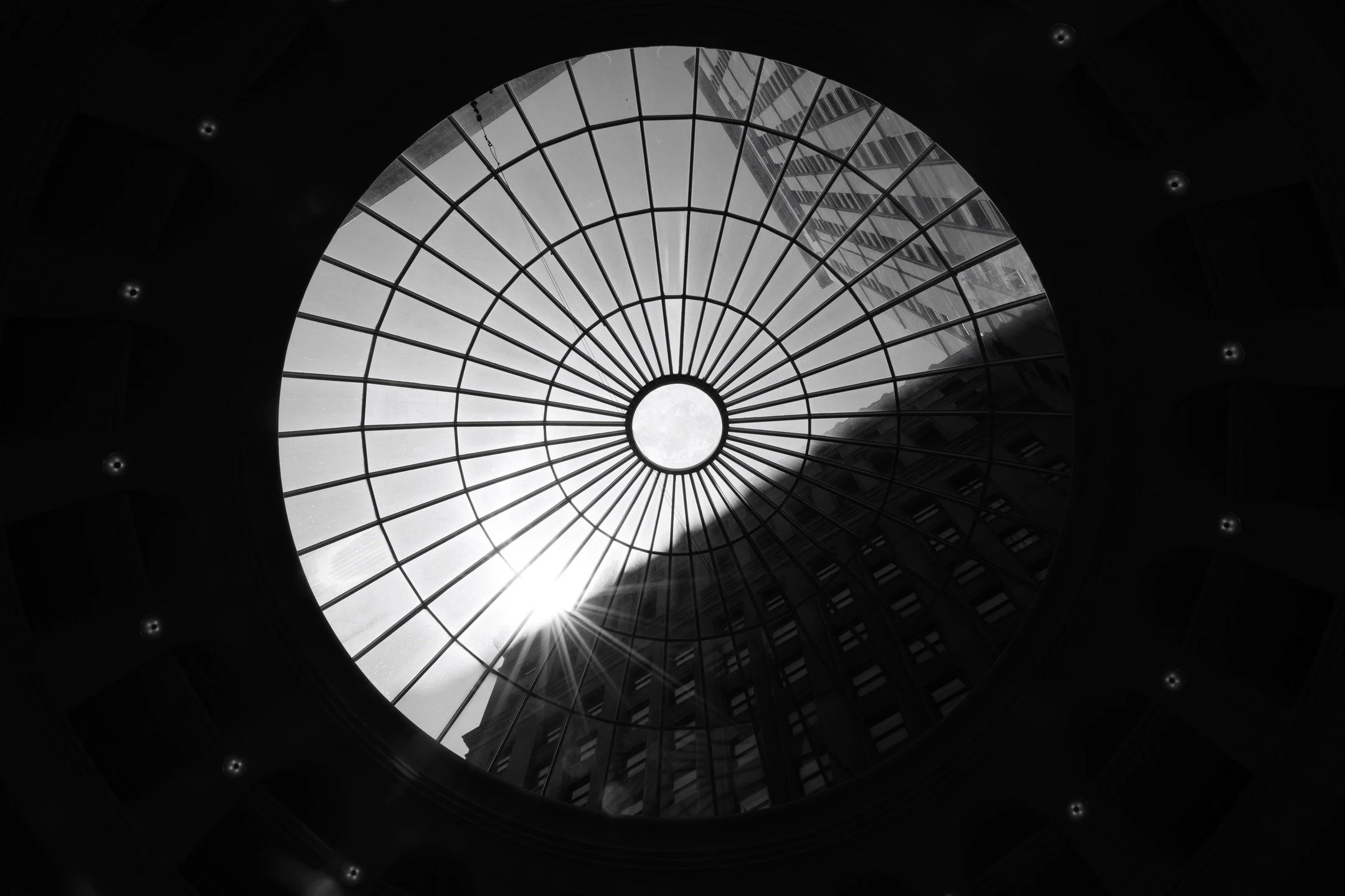 It's World Photography Day.. here's a collection of my favorite photos I haven't had a chance to post yet
.
#worldphotographyday #blackandwhite #monochrome #contrastphotography #contrast #itookapicture #starburst #bnwphotography #columbusphotographer