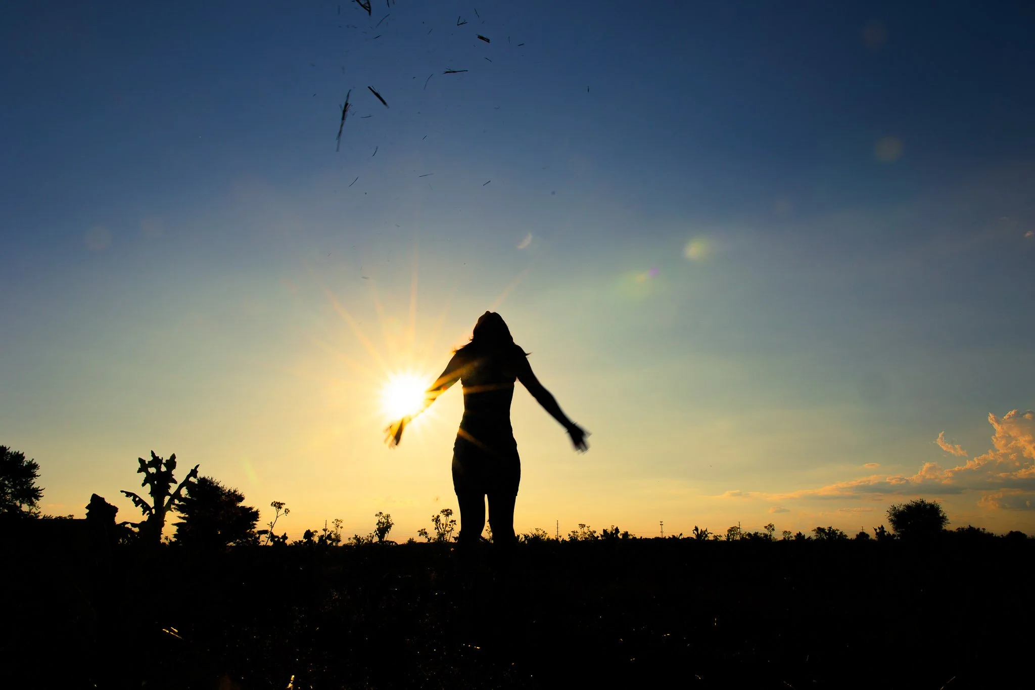 AM_Annie-Field-64.jpg