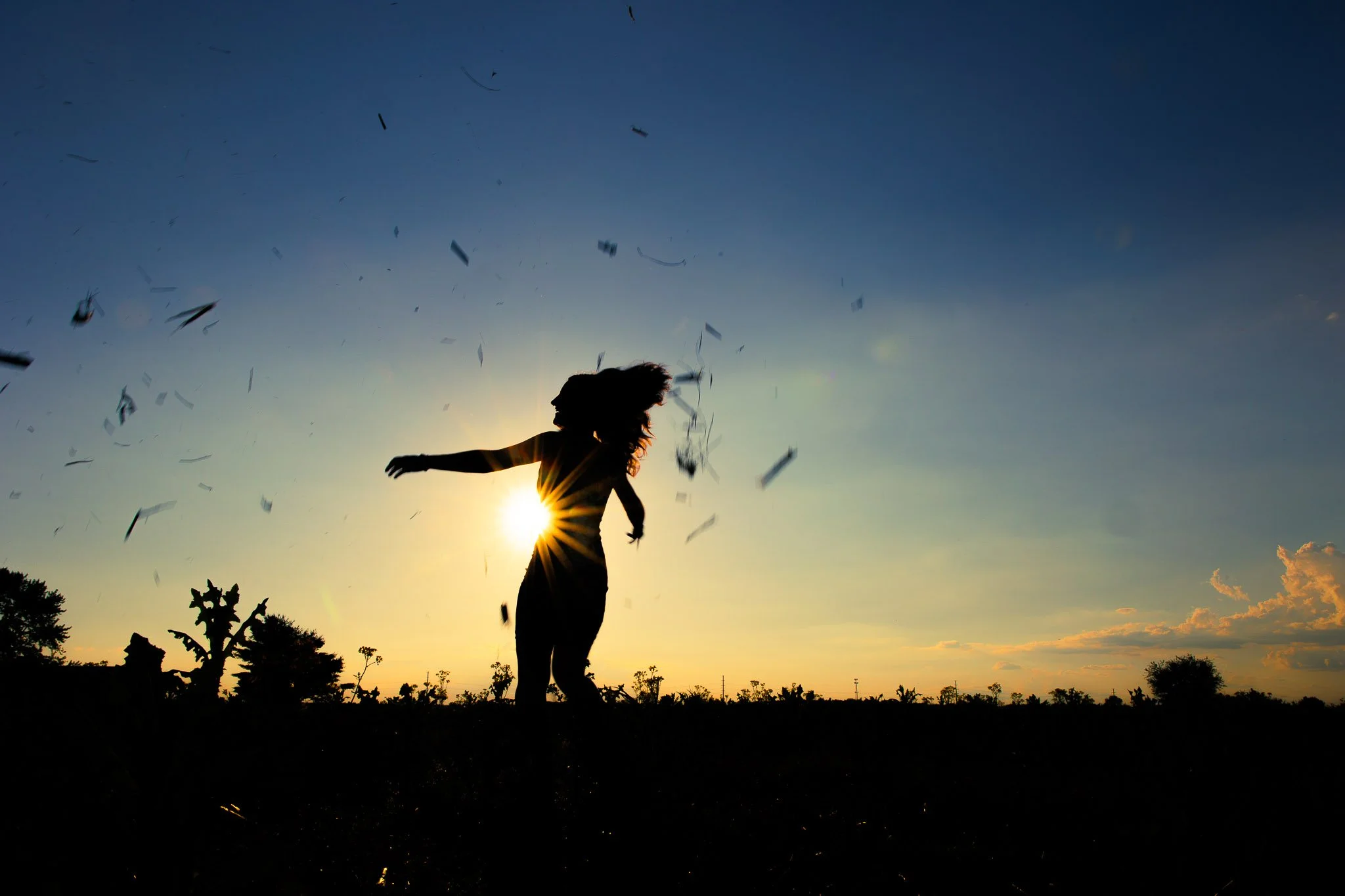 AM_Annie-Field-65.jpg