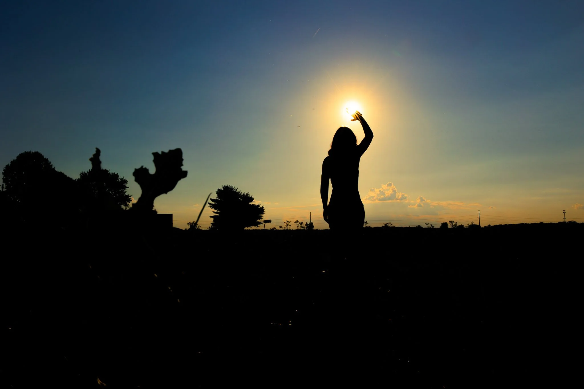 AM_Annie-Field-38.jpg