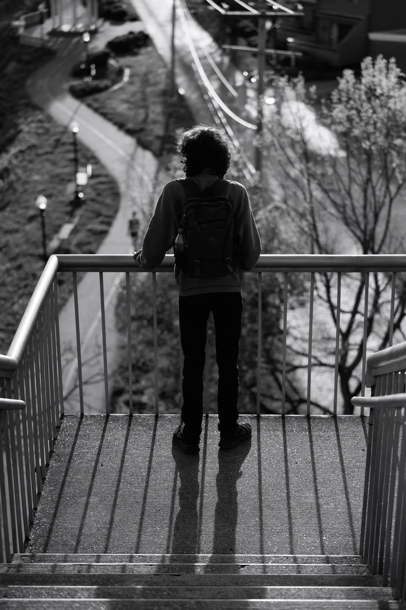 AM_Zac Bridge-11.jpg