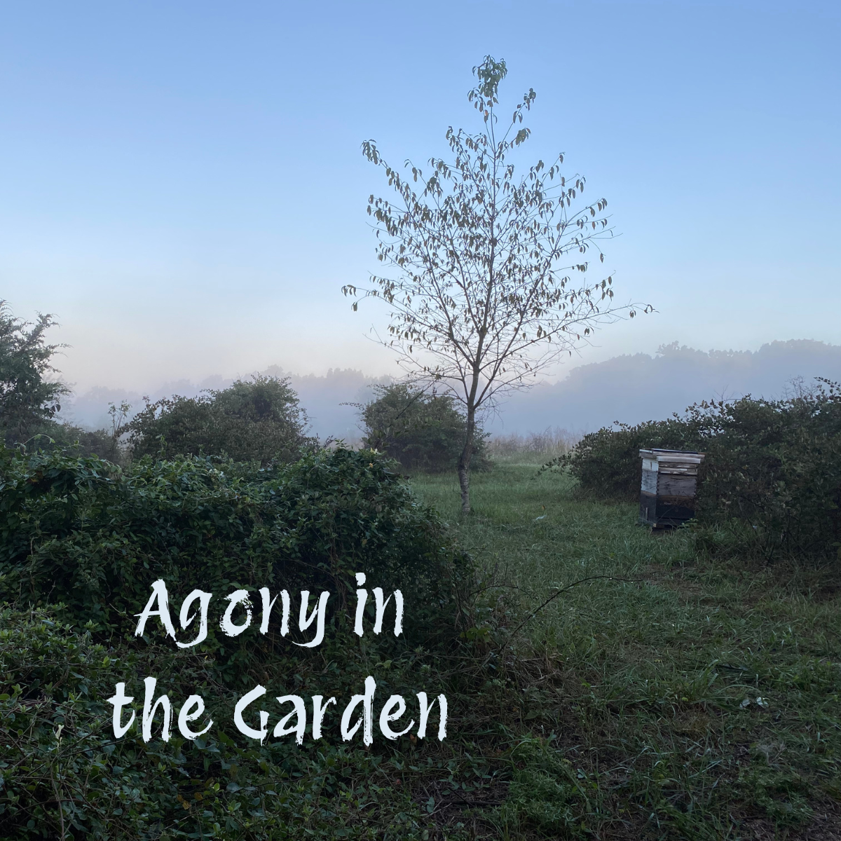 Agony in the Garden