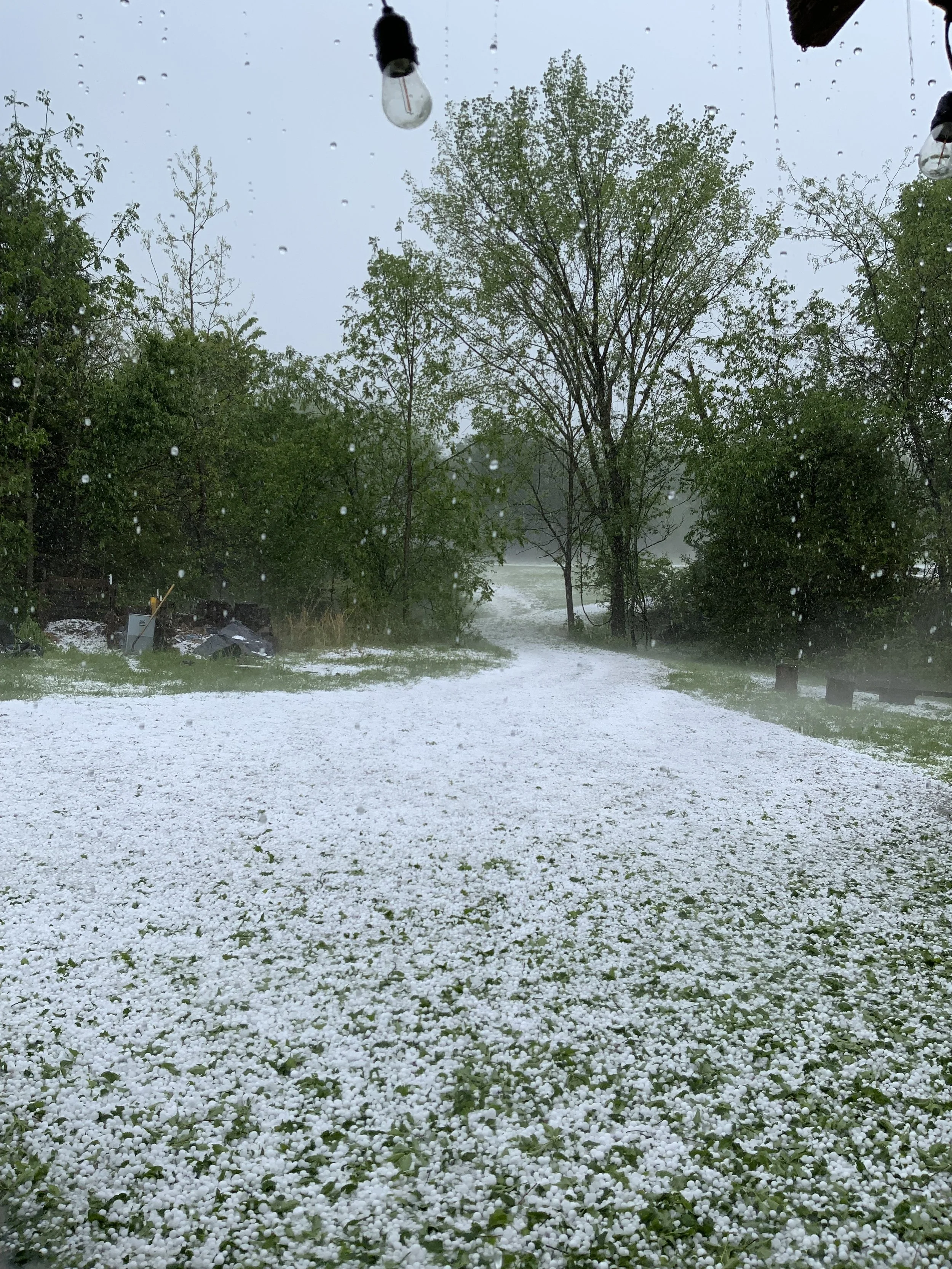 Hail stones covering the ground