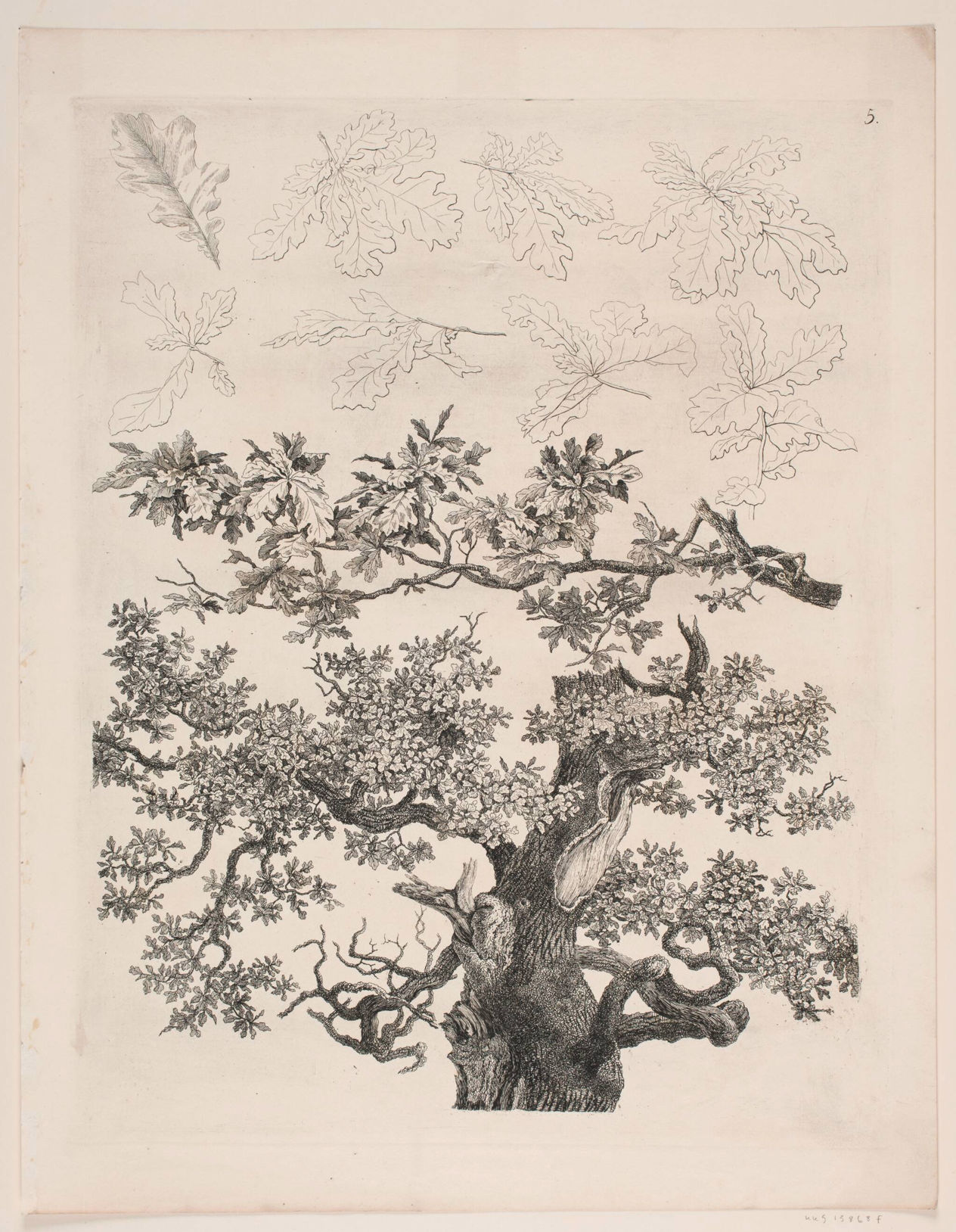 Søren Henrik Petersen (1788–1860). Studies from Nature with Regard to Landscape Drawing by S.H. Petersen, no. 5. Engraving. 1816. Statens Museum for Kunst, Copenhagen.