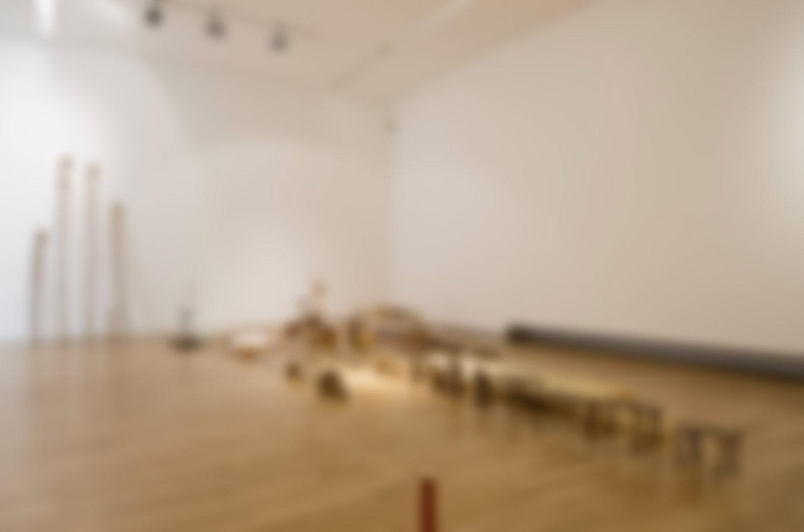 Emil Westman Hertz. Nine of Wands. Installation. 2016, Statens Museum for Kunst, Copenhagen, © Emil Westman Hertz / VISDA.  THIS IMAGE IS BLURRED. DO NOT USE.