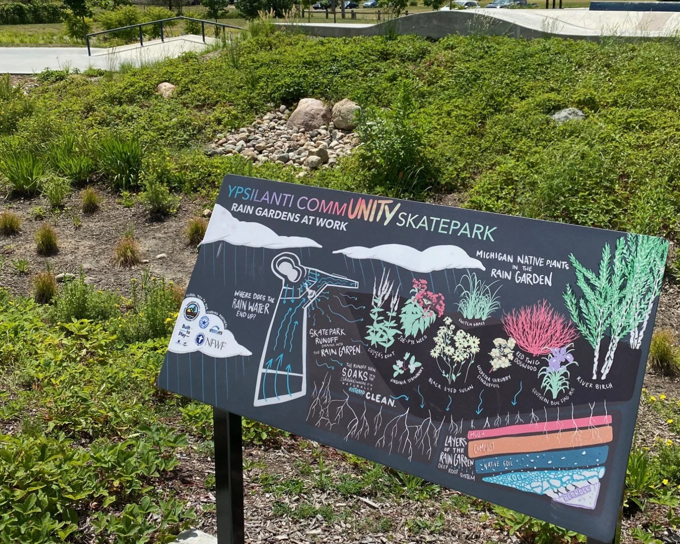 Rain Garden.jpg