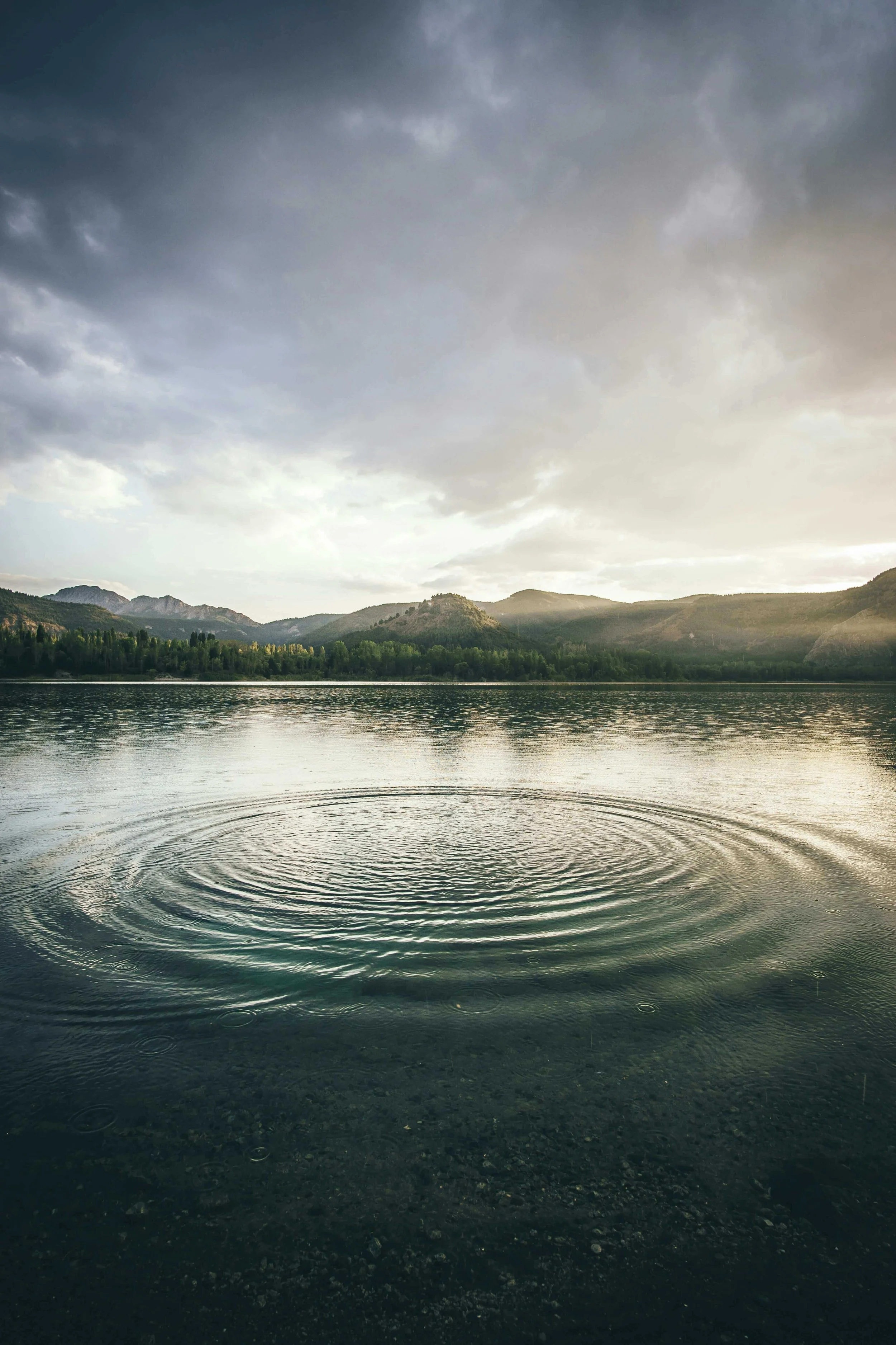 Ripple Effect
