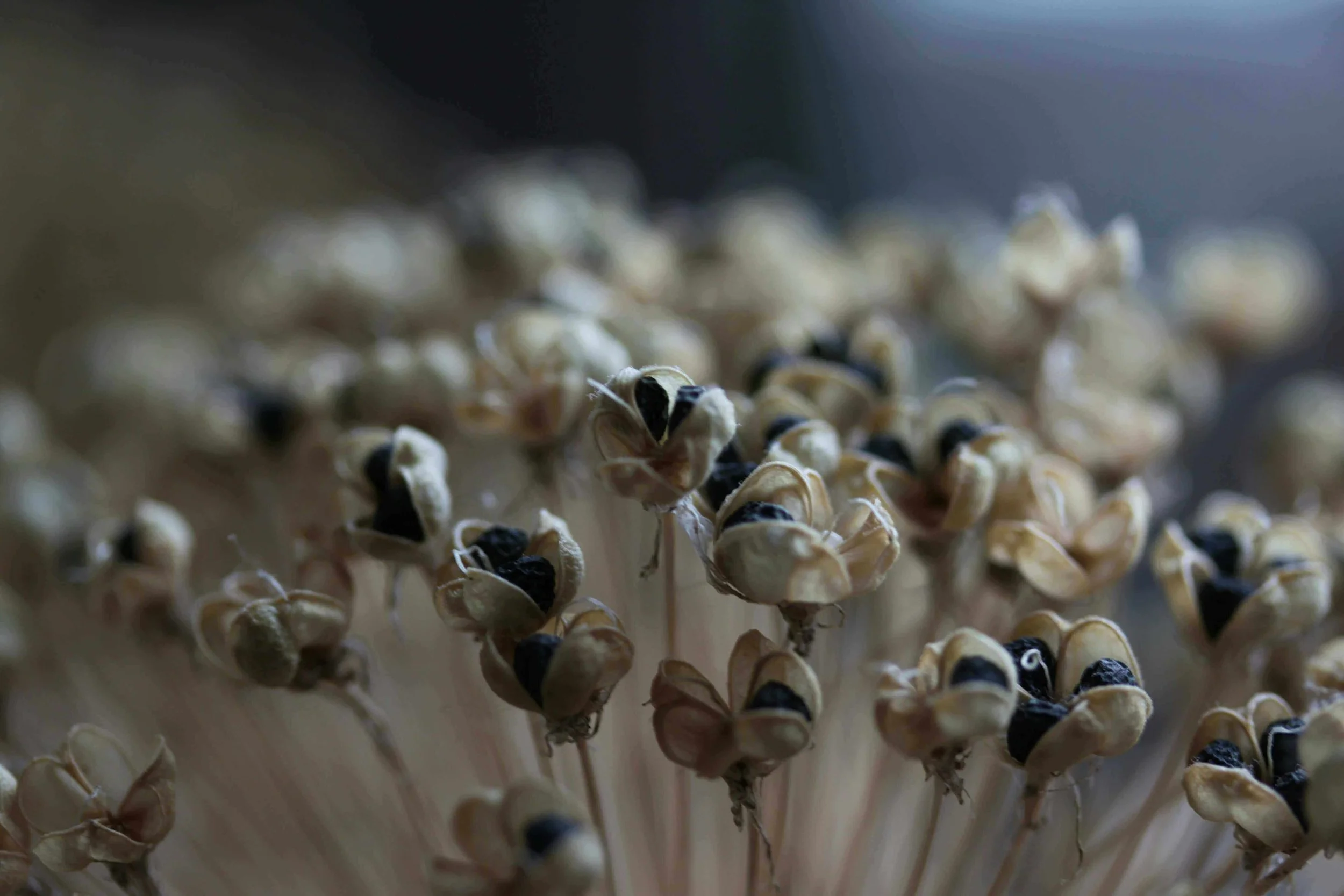 Master atmospheric writing