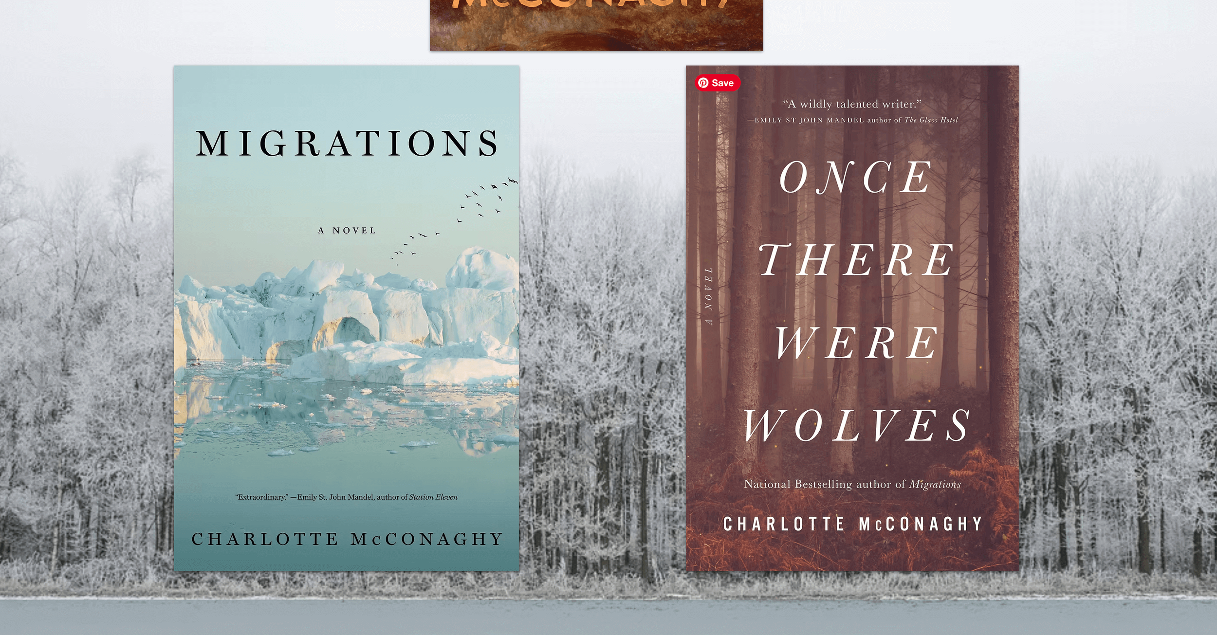 About Charlotte McConaghy Website