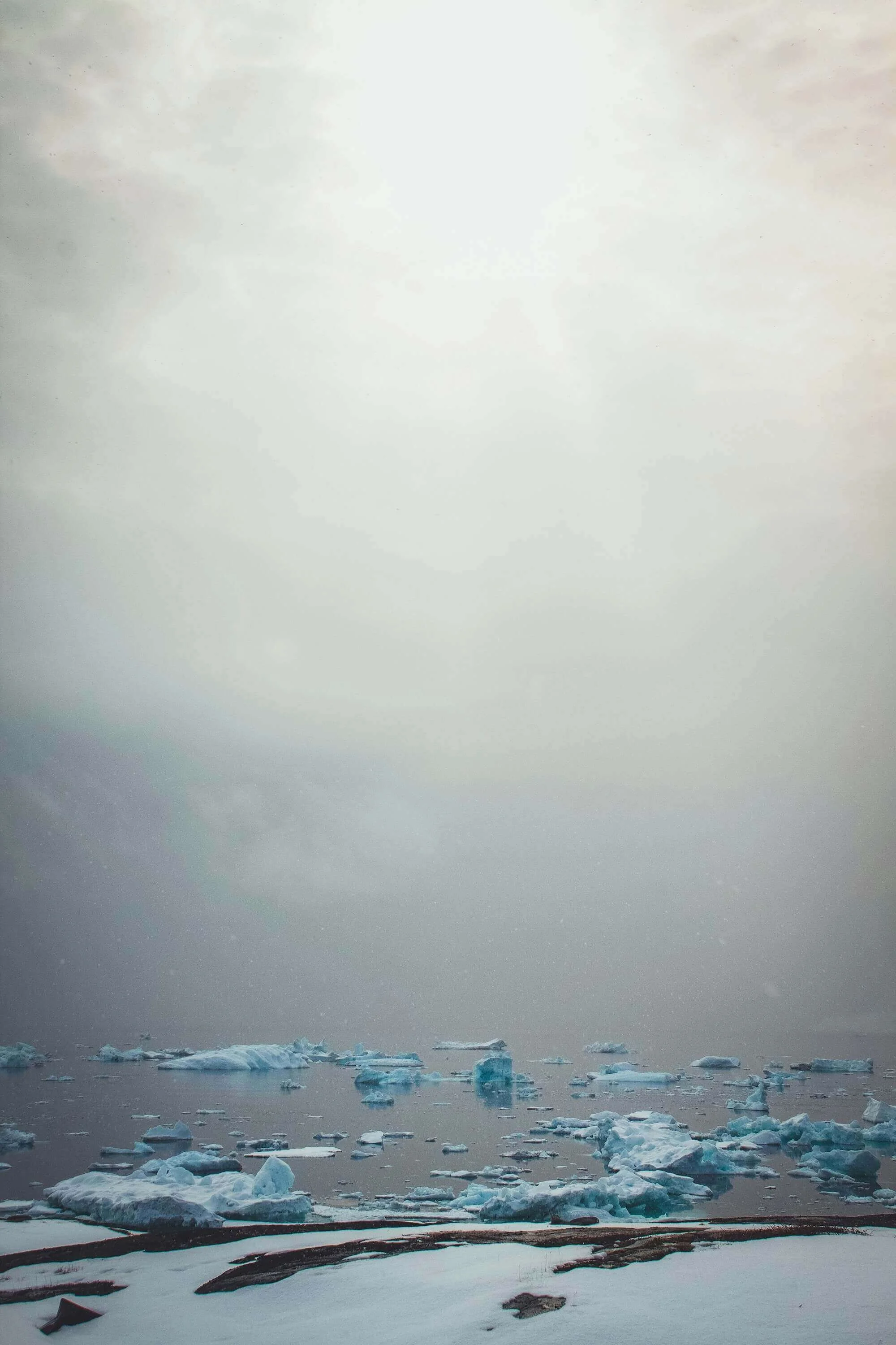 In Wild Dark Shore, weather isn't backdrop