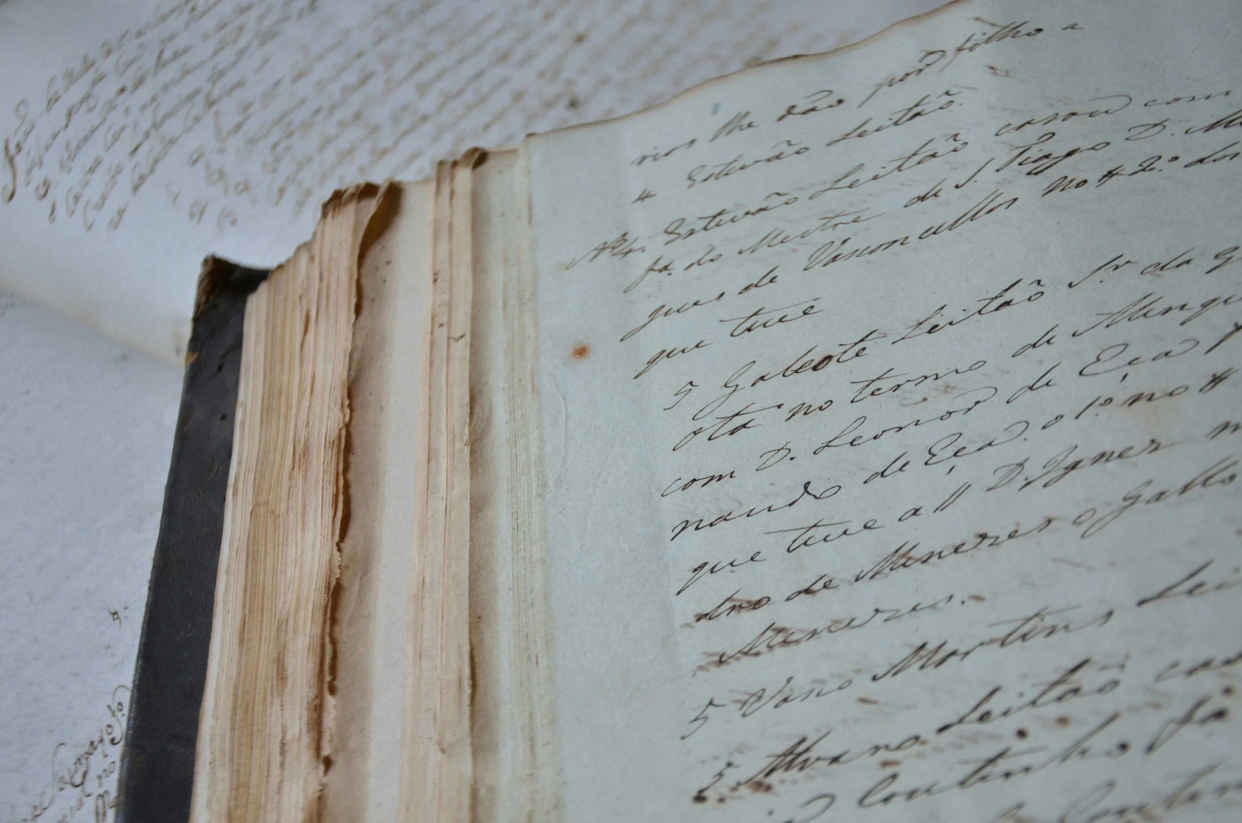 These recycled manuscripts were called palimpsests