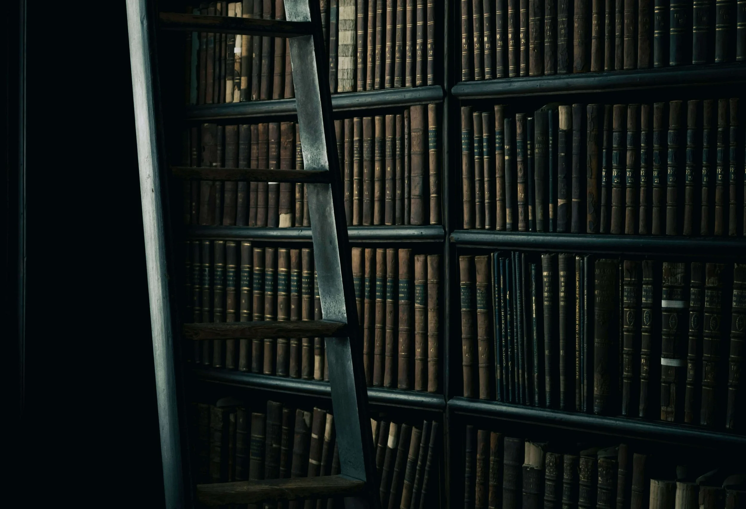 Dark moody author library