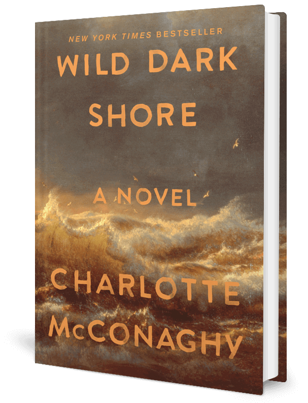 Wild Dark Shore Characters A Deep Dive into the Salt